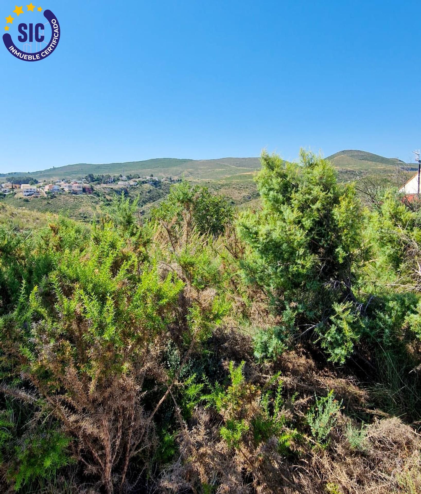 Fincas y solares-Venta-TurÃ­s-1768778-Foto-5