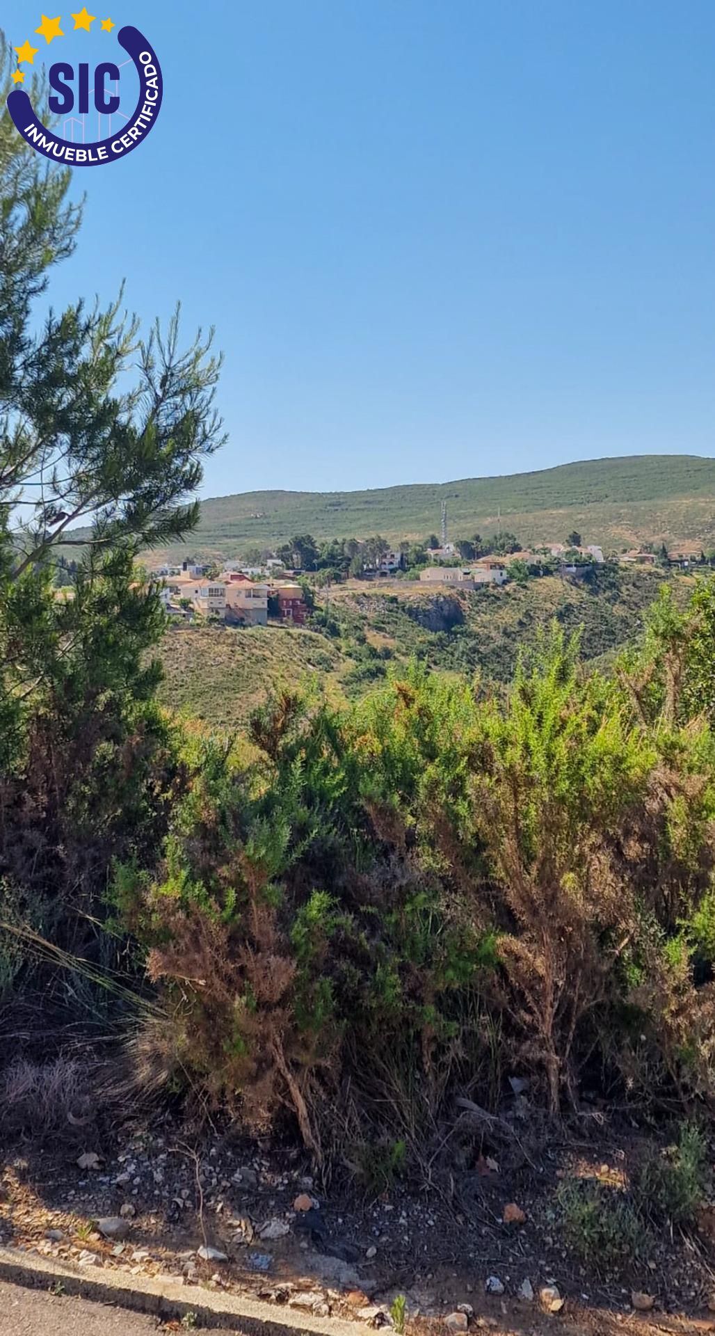 Fincas y solares-Venta-TurÃ­s-1768778-Foto-8