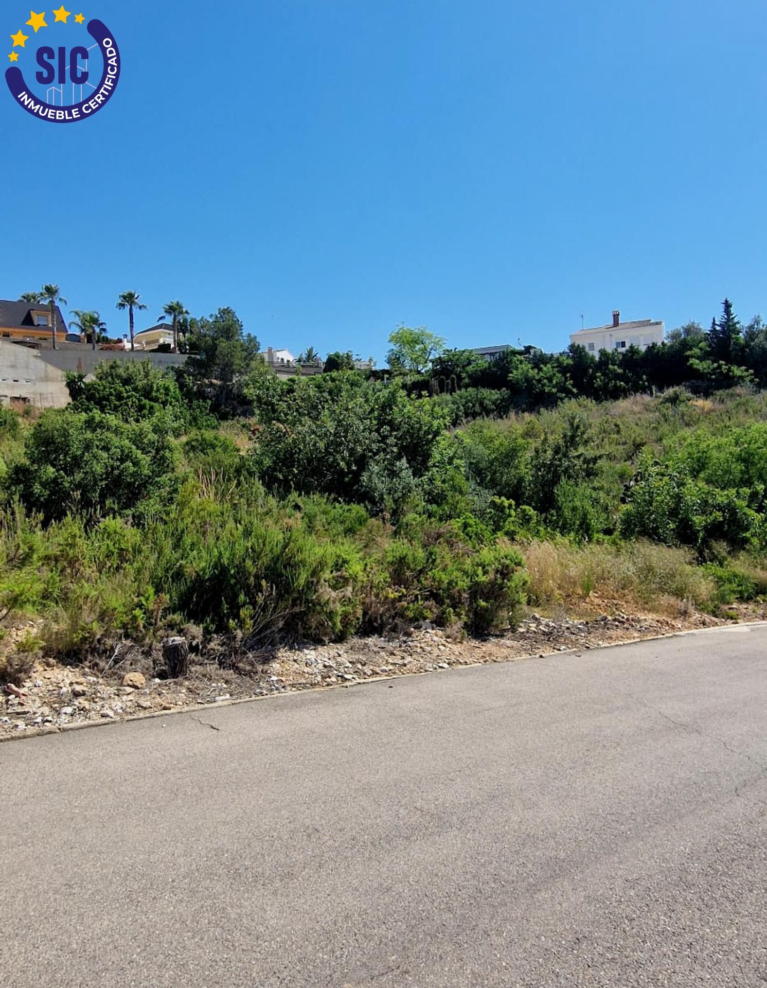 Fincas y solares-Venta-TurÃ­s-1768778-Foto-9