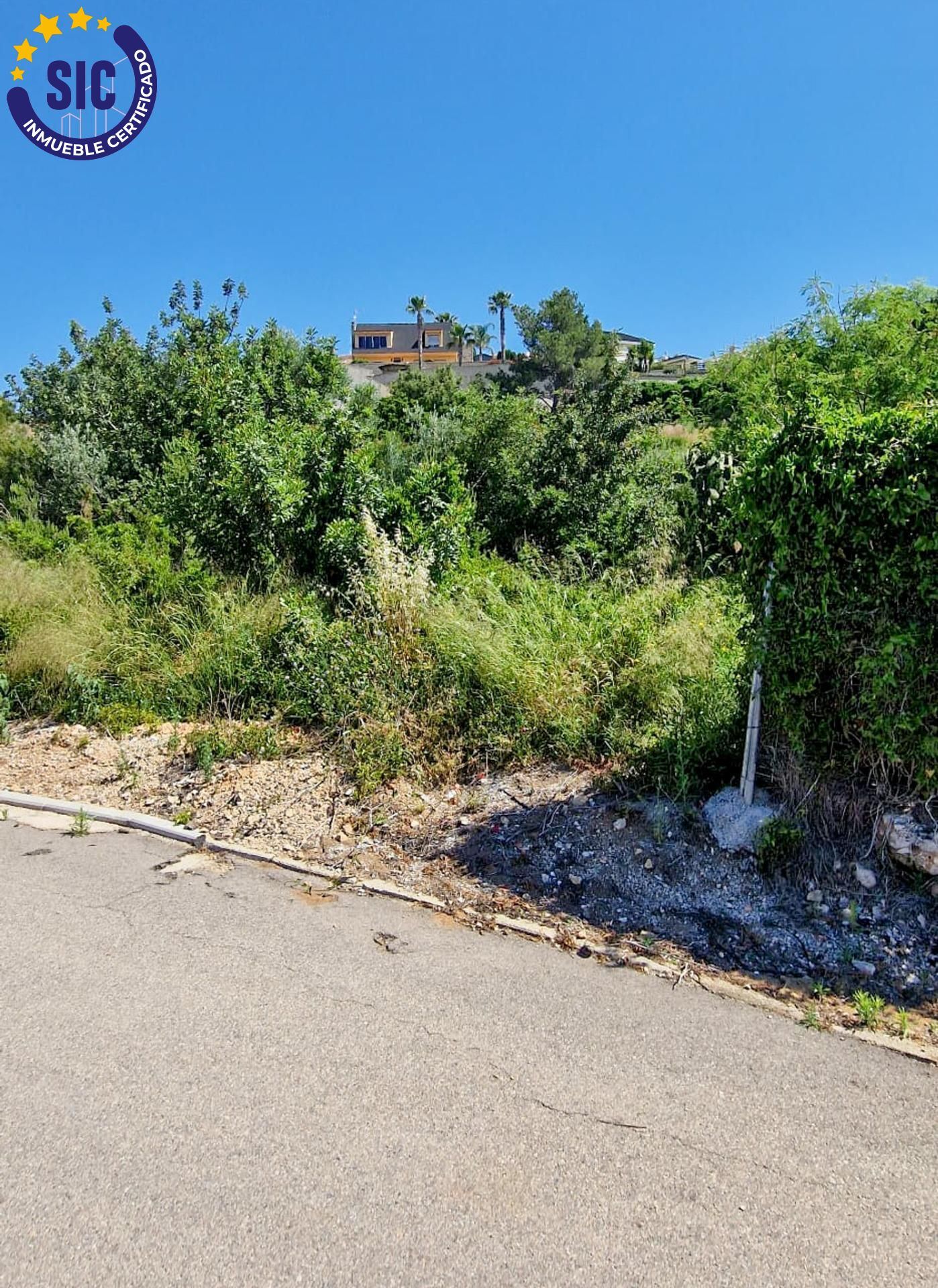 Fincas y solares-Venta-TurÃ­s-1768778-Foto-11