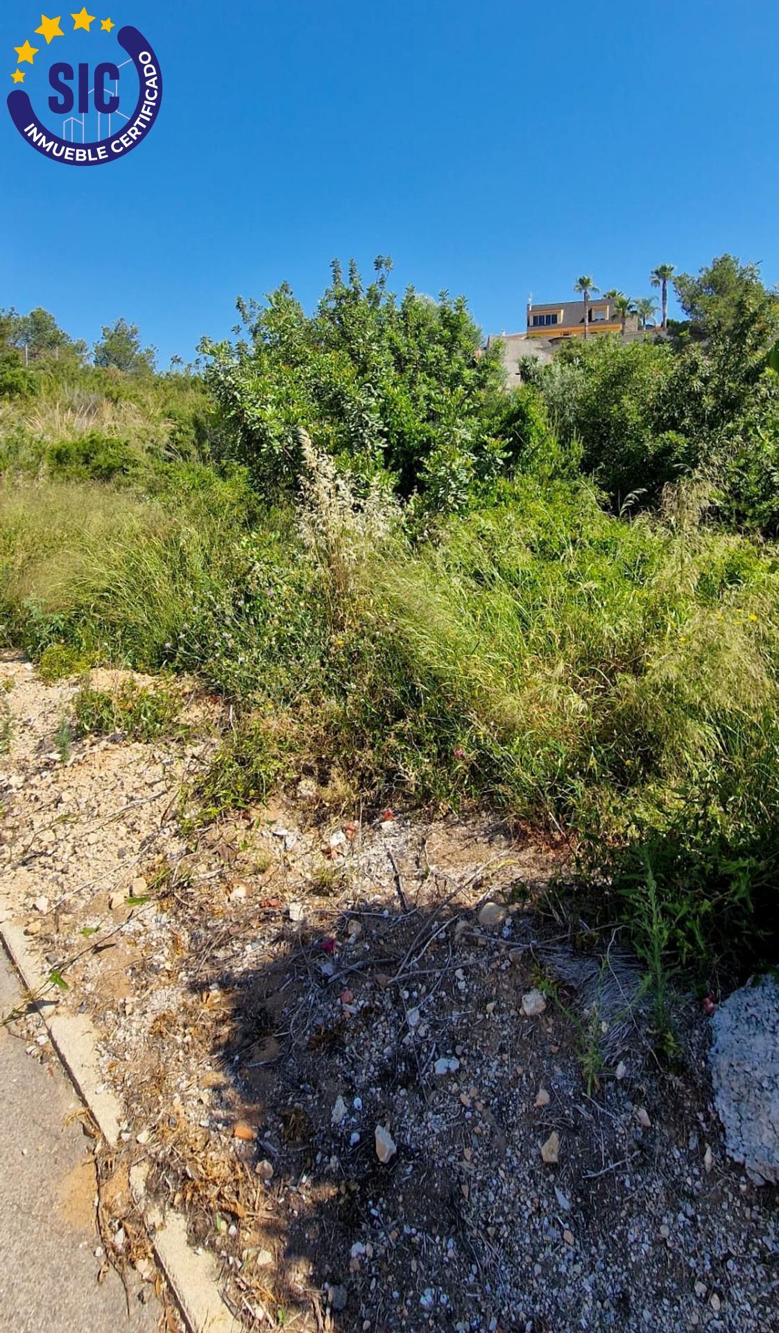 Fincas y solares-Venta-TurÃ­s-1768778-Foto-16