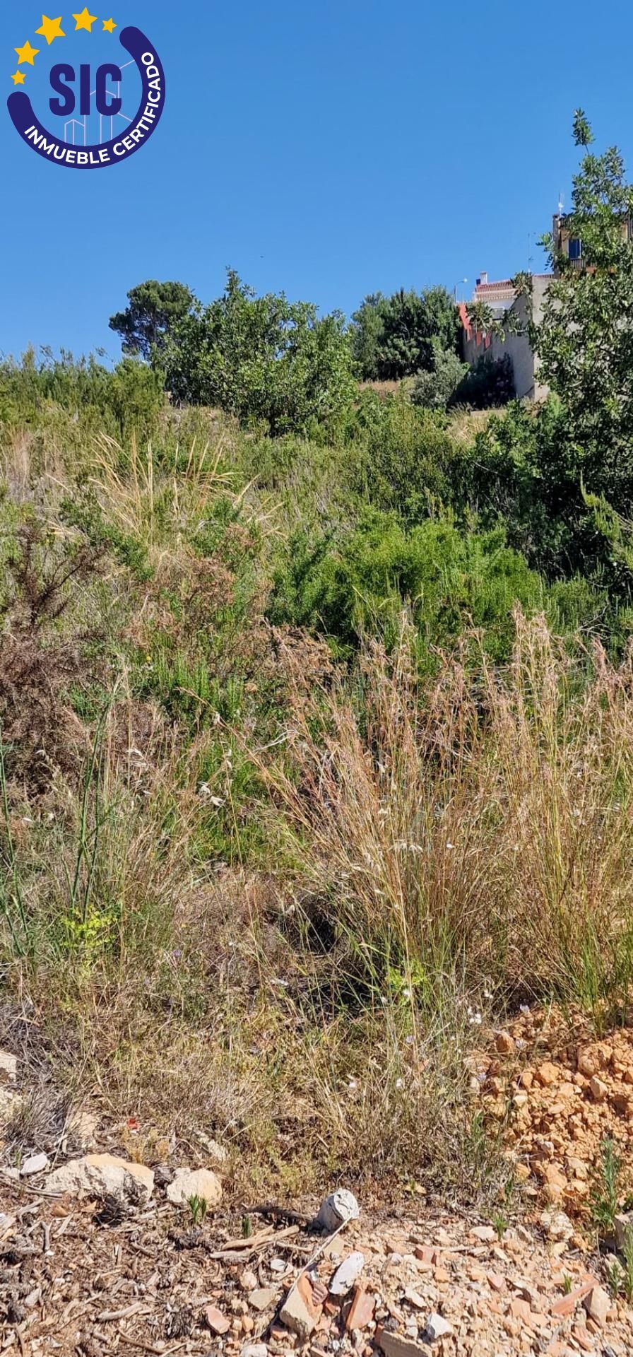 Fincas y solares-Venta-TurÃ­s-1768778-Foto-13