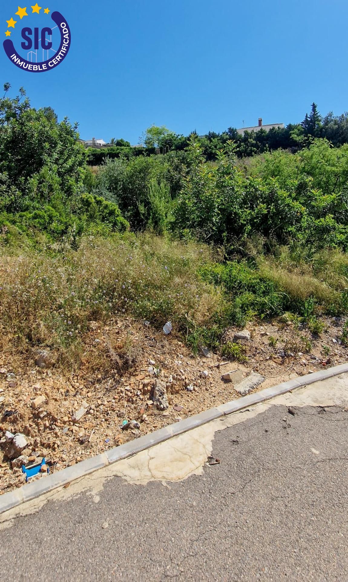 Fincas y solares-Venta-TurÃ­s-1768778-Foto-17