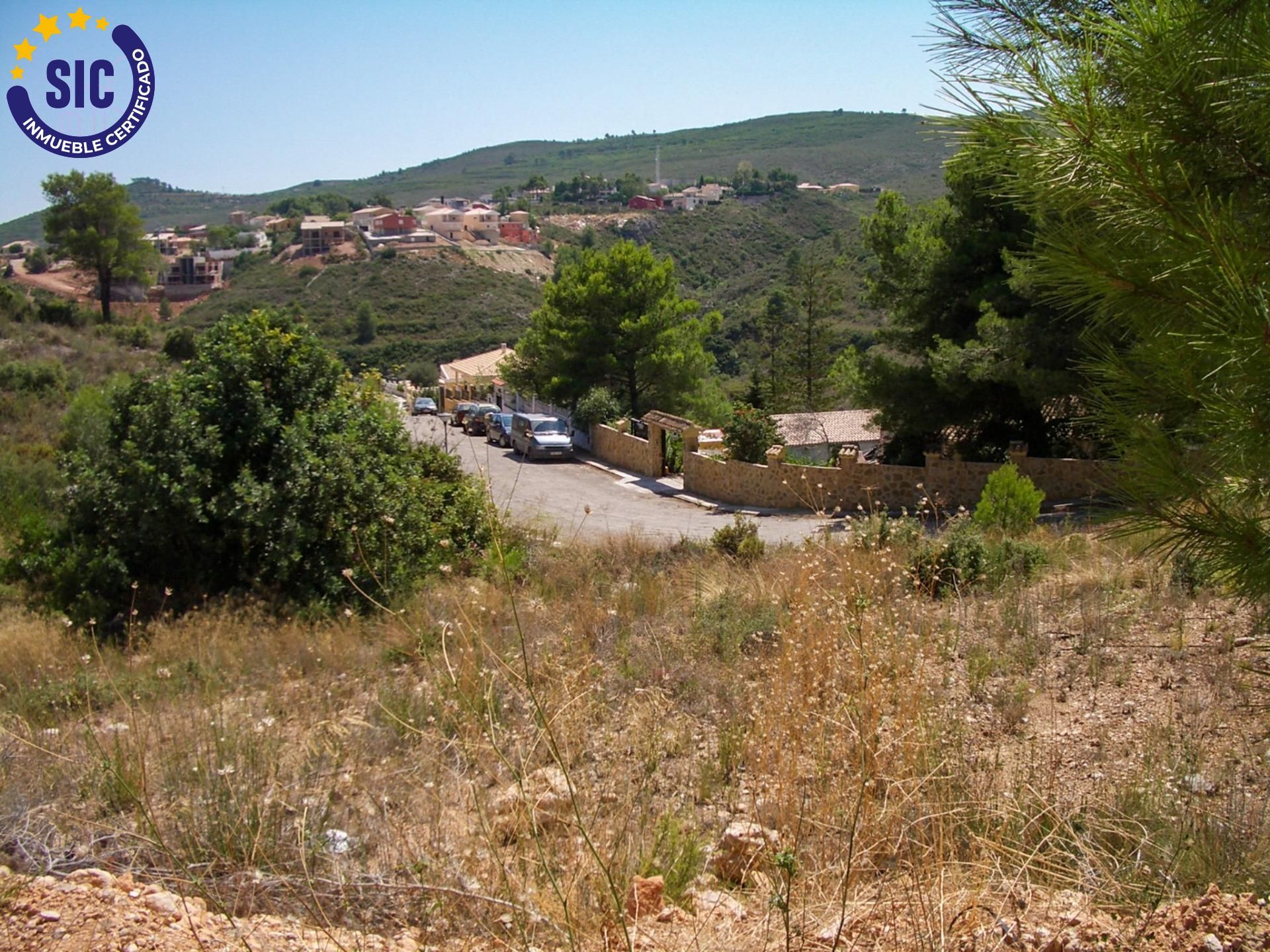 Fincas y solares-Venta-TurÃ­s-1768778-Foto-21