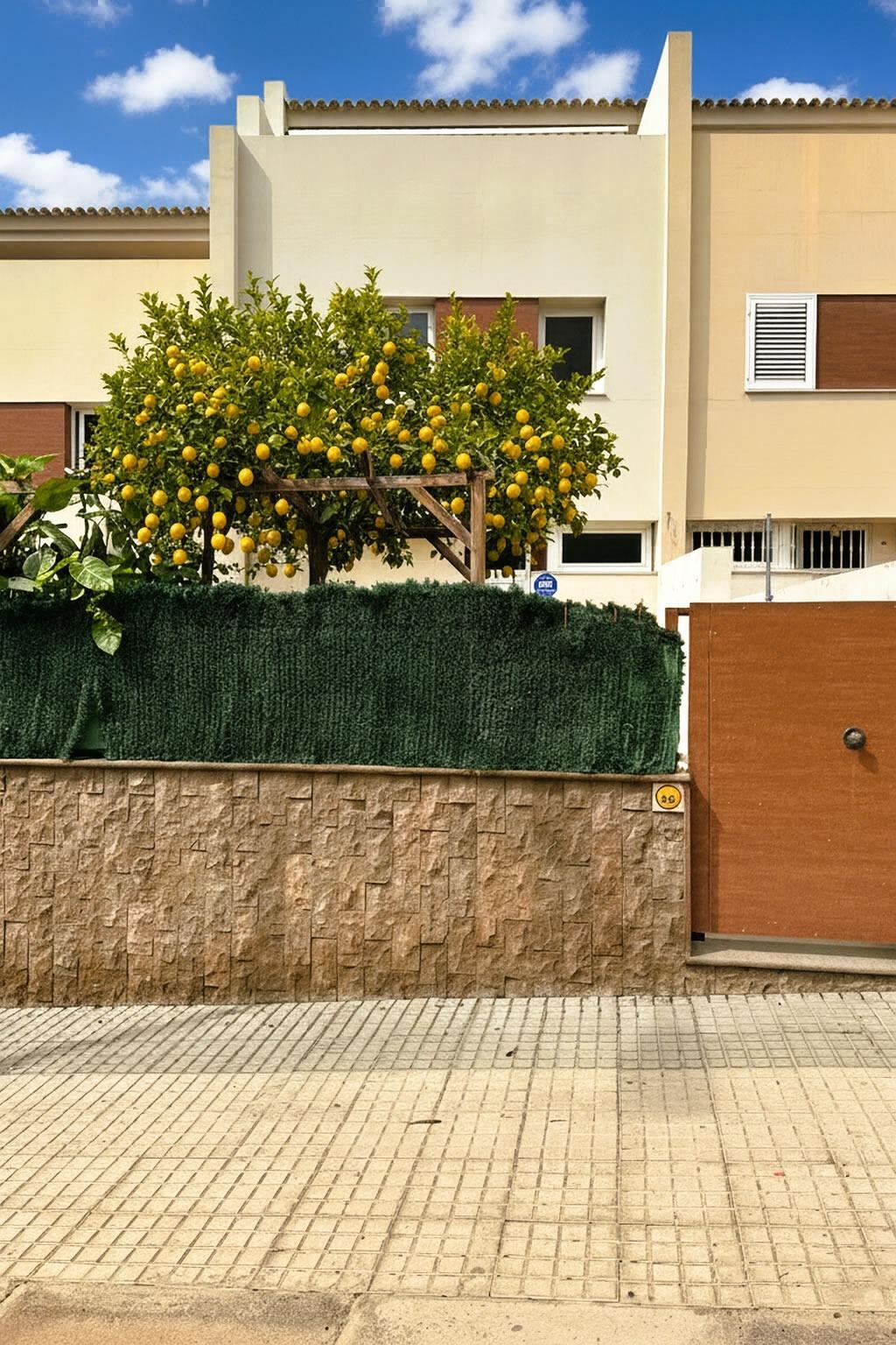 Casas o chalets-Venta-Arona-1901088-Foto-2
