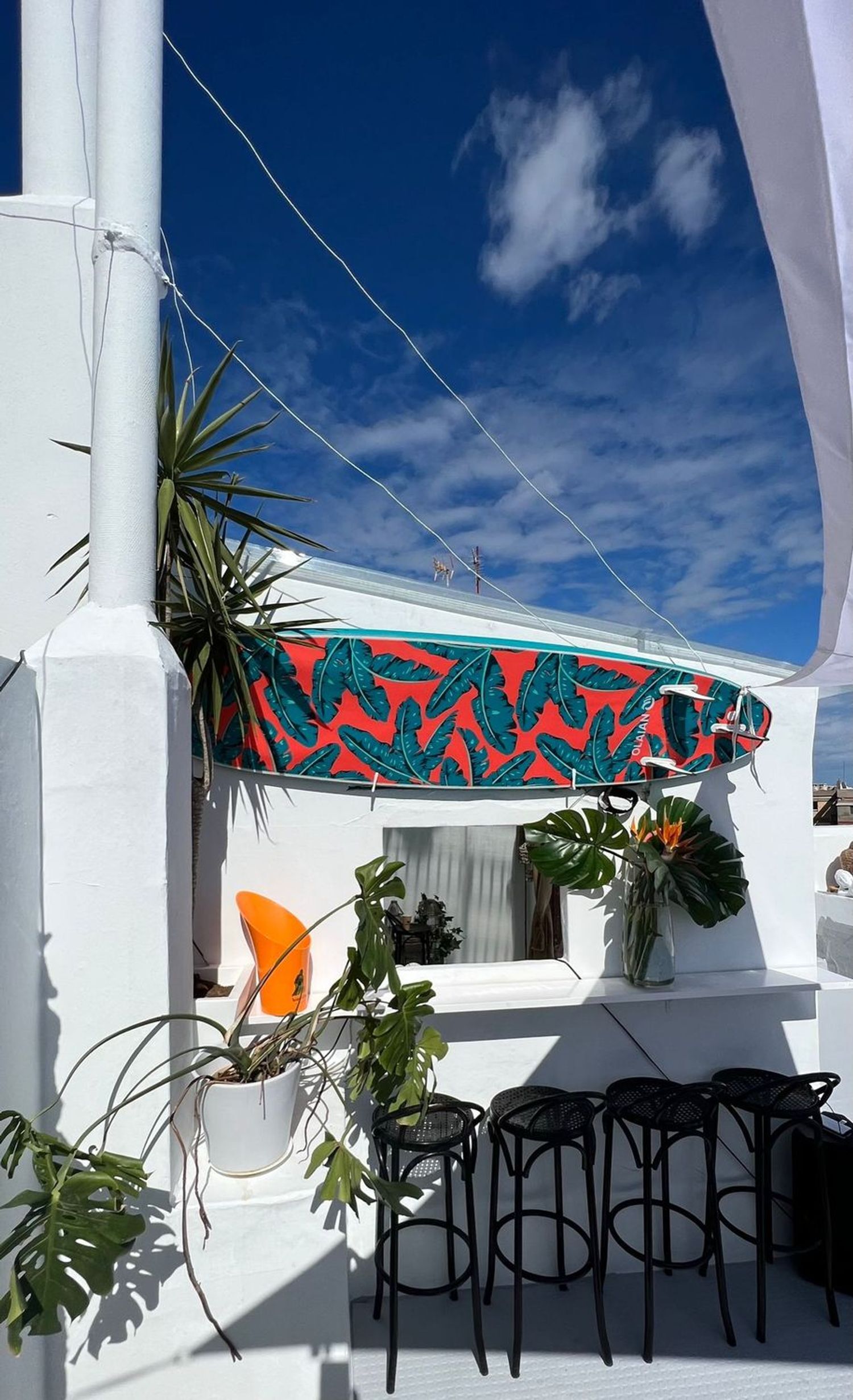 Pisos-Venta-Las Palmas de Gran Canaria-1901100-Foto-30