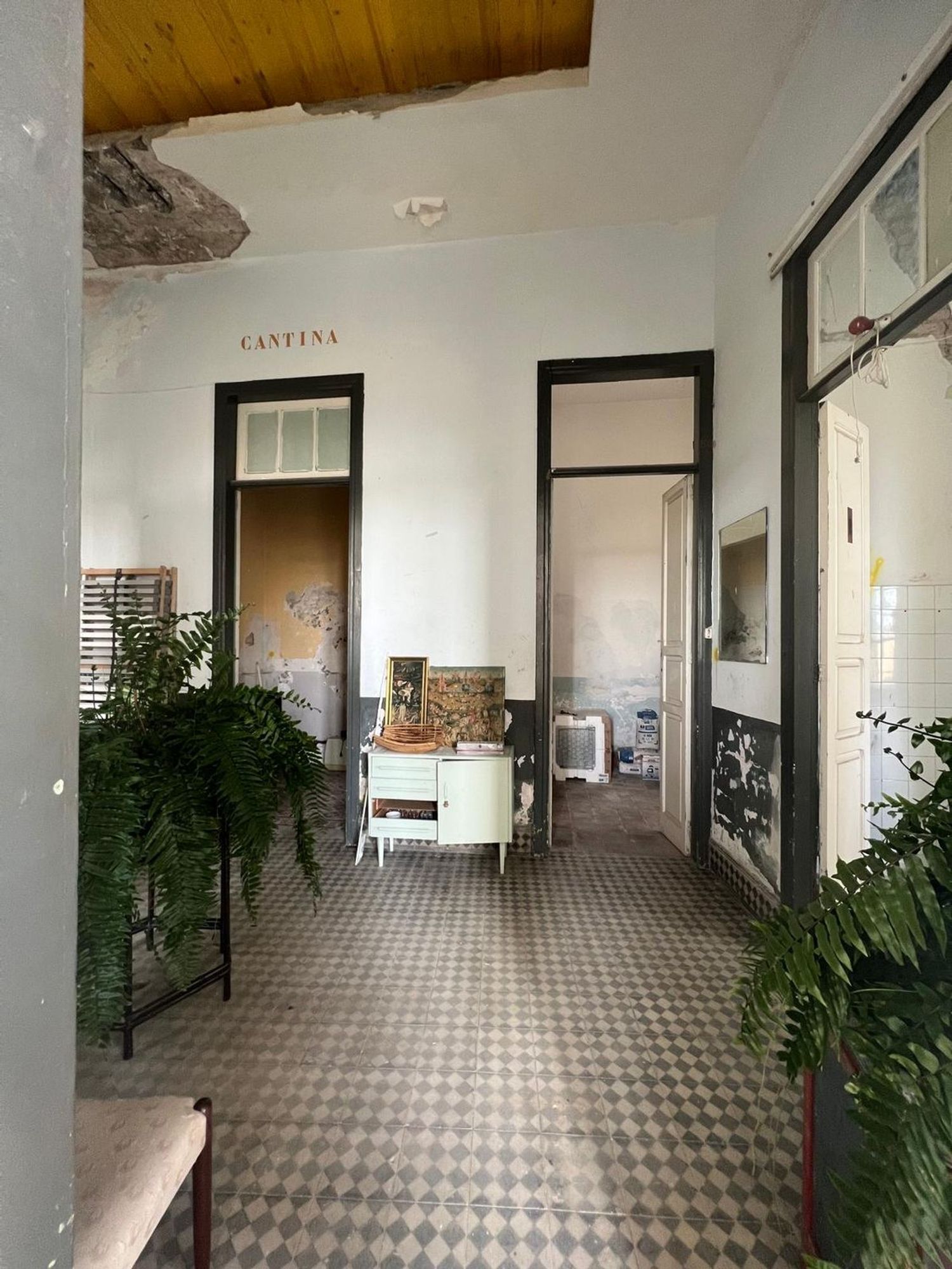 Pisos-Venta-Las Palmas de Gran Canaria-1901121-Foto-3