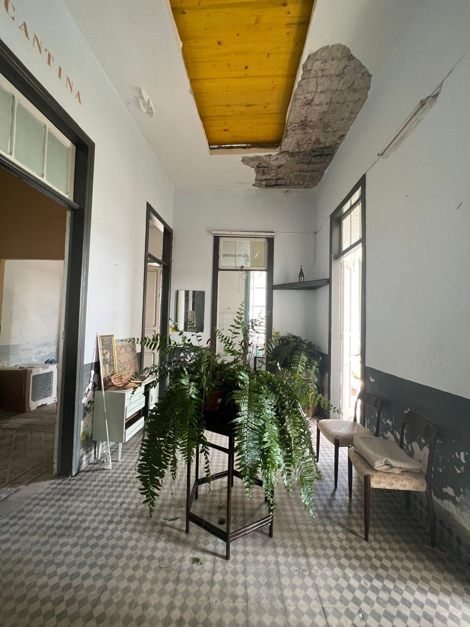 Pisos-Venta-Las Palmas de Gran Canaria-1901121-Foto-5
