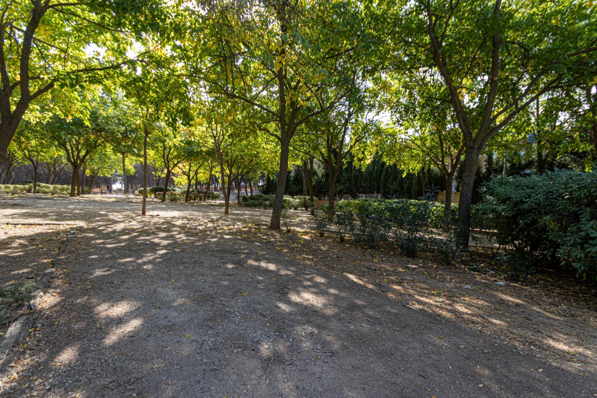 Casas o chalets-Venta-Rivas-Vaciamadrid-1901145-Foto-33