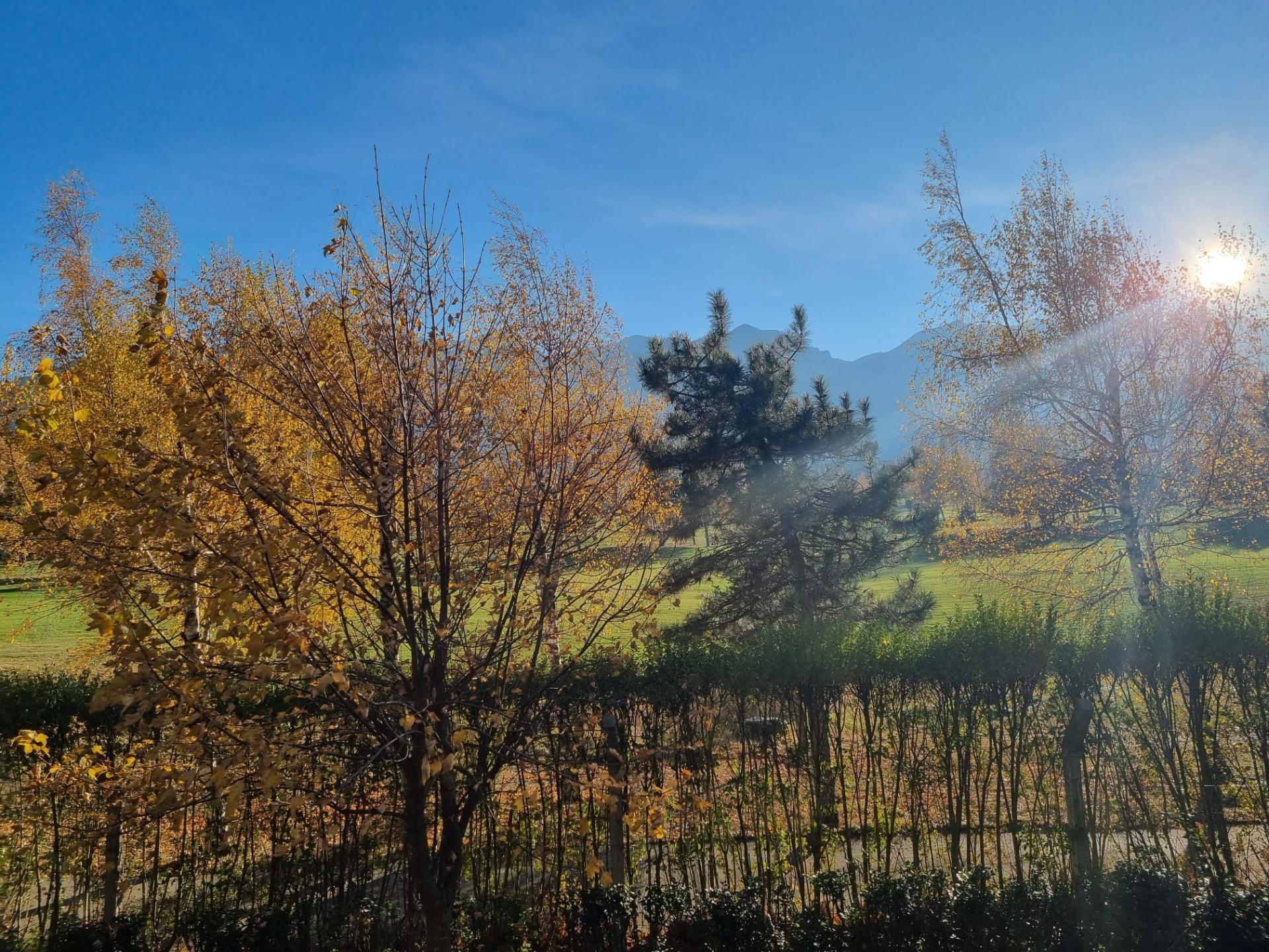 Pisos-Venta-Bansko-1901142-Foto-13