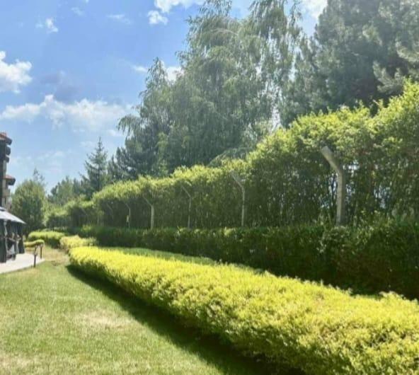 Pisos-Venta-Bansko-1901142-Foto-58