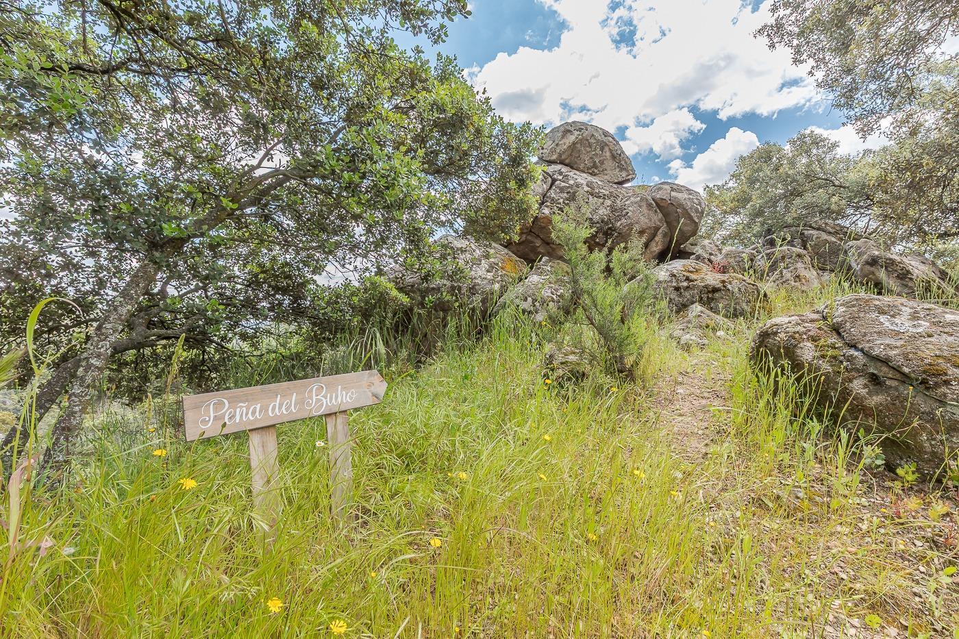 Casas o chalets-Venta-Torrelodones-1835338-Foto-97