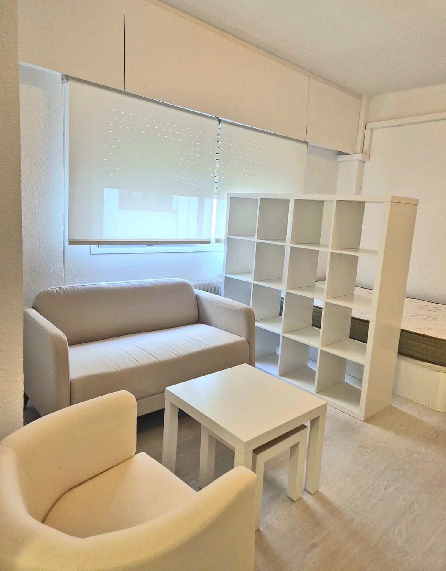 Pisos-Alquiler-Madrid-1904786
