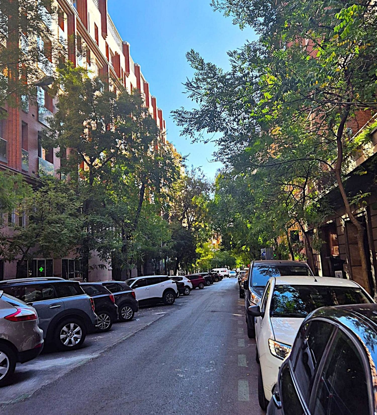 Pisos-Alquiler-Madrid-1904786-Foto-15