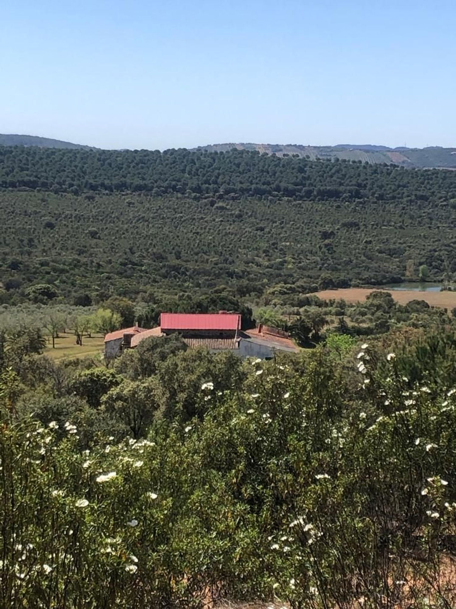 Fincas y solares-Venta-ChillÃ³n-1507555-Foto-25