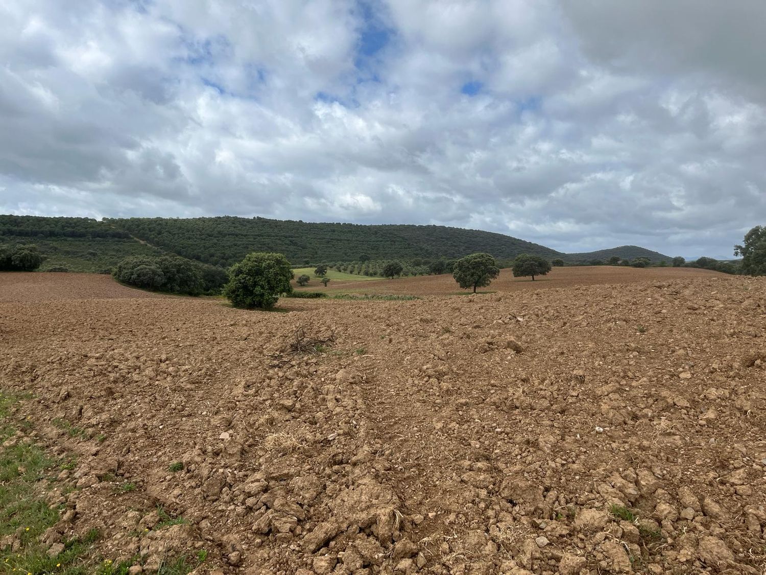 Fincas y solares-Venta-ChillÃ³n-1507555-Foto-27