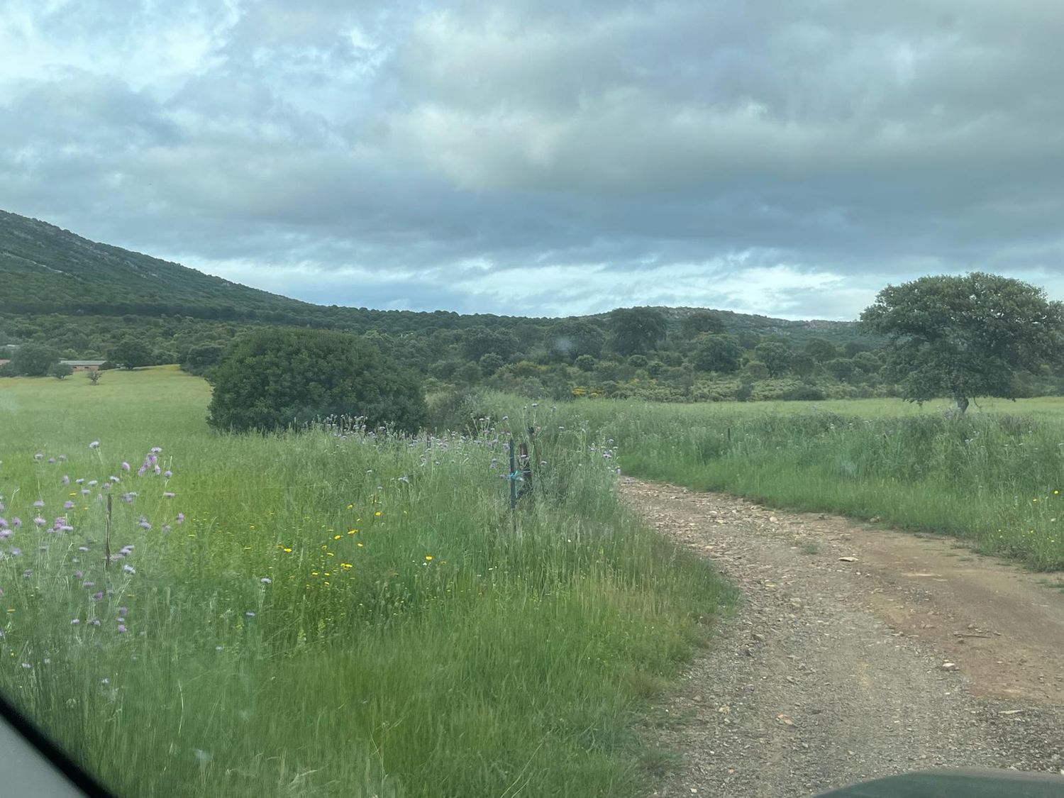 Fincas y solares-Venta-ChillÃ³n-1507555-Foto-35