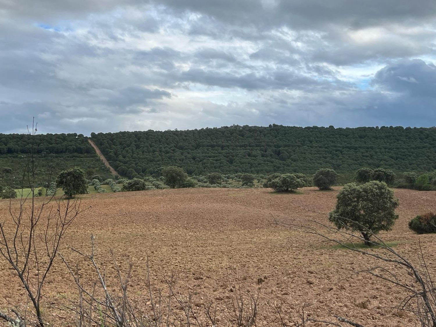 Fincas y solares-Venta-ChillÃ³n-1507555-Foto-38