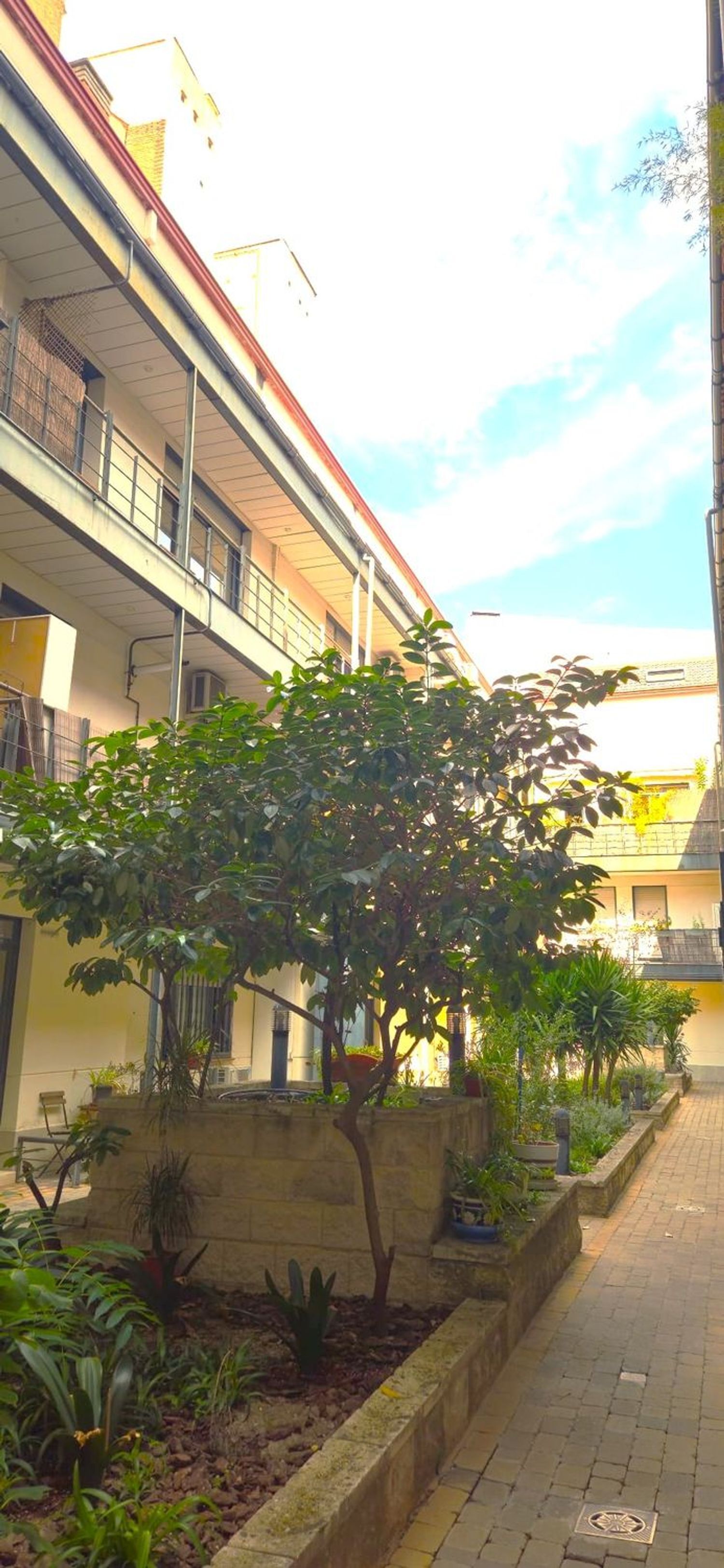 Pisos-Alquiler-Madrid-1101621-Foto-34