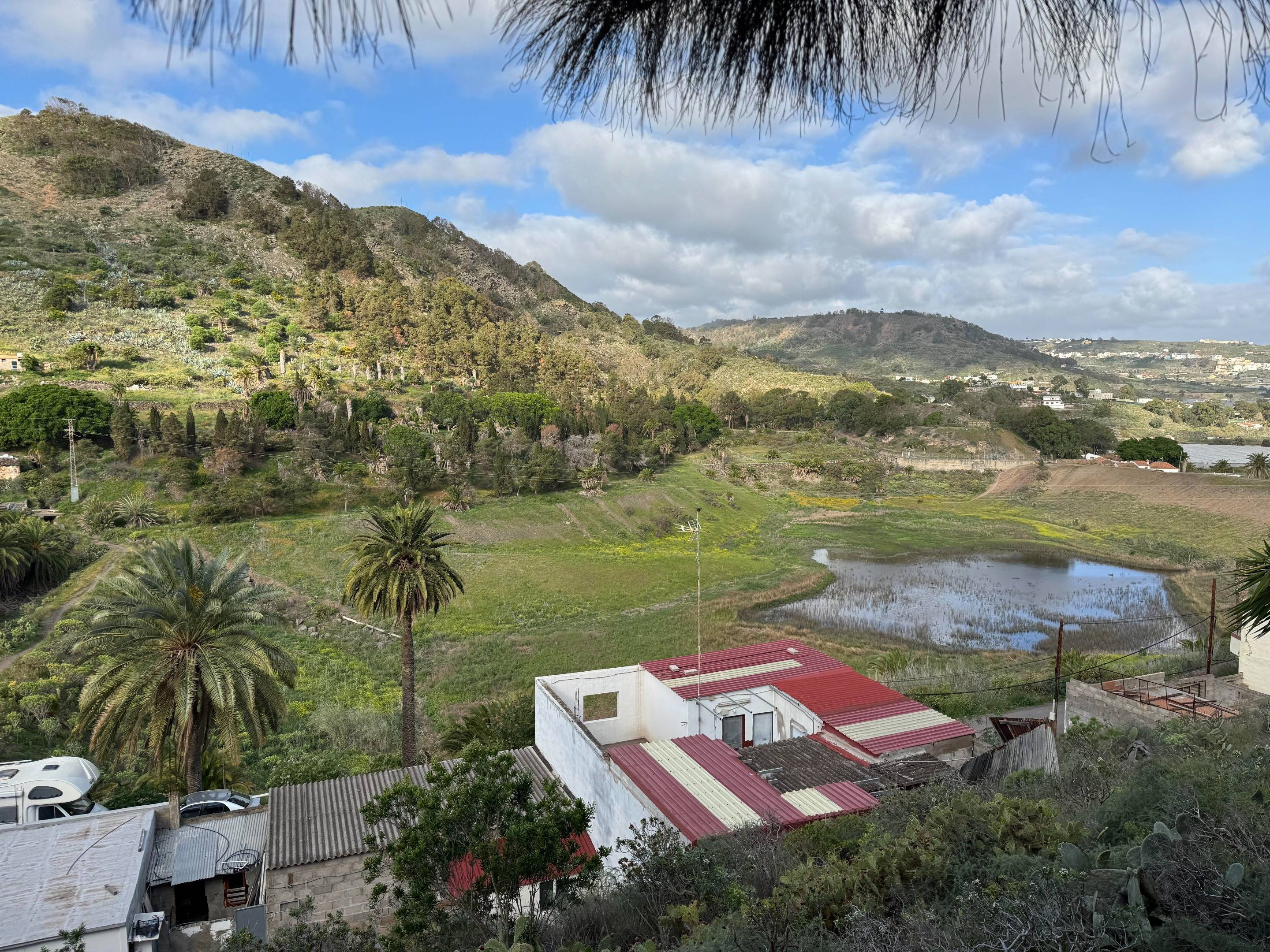 Fincas y solares-Venta-Arucas-1719821-Foto-4