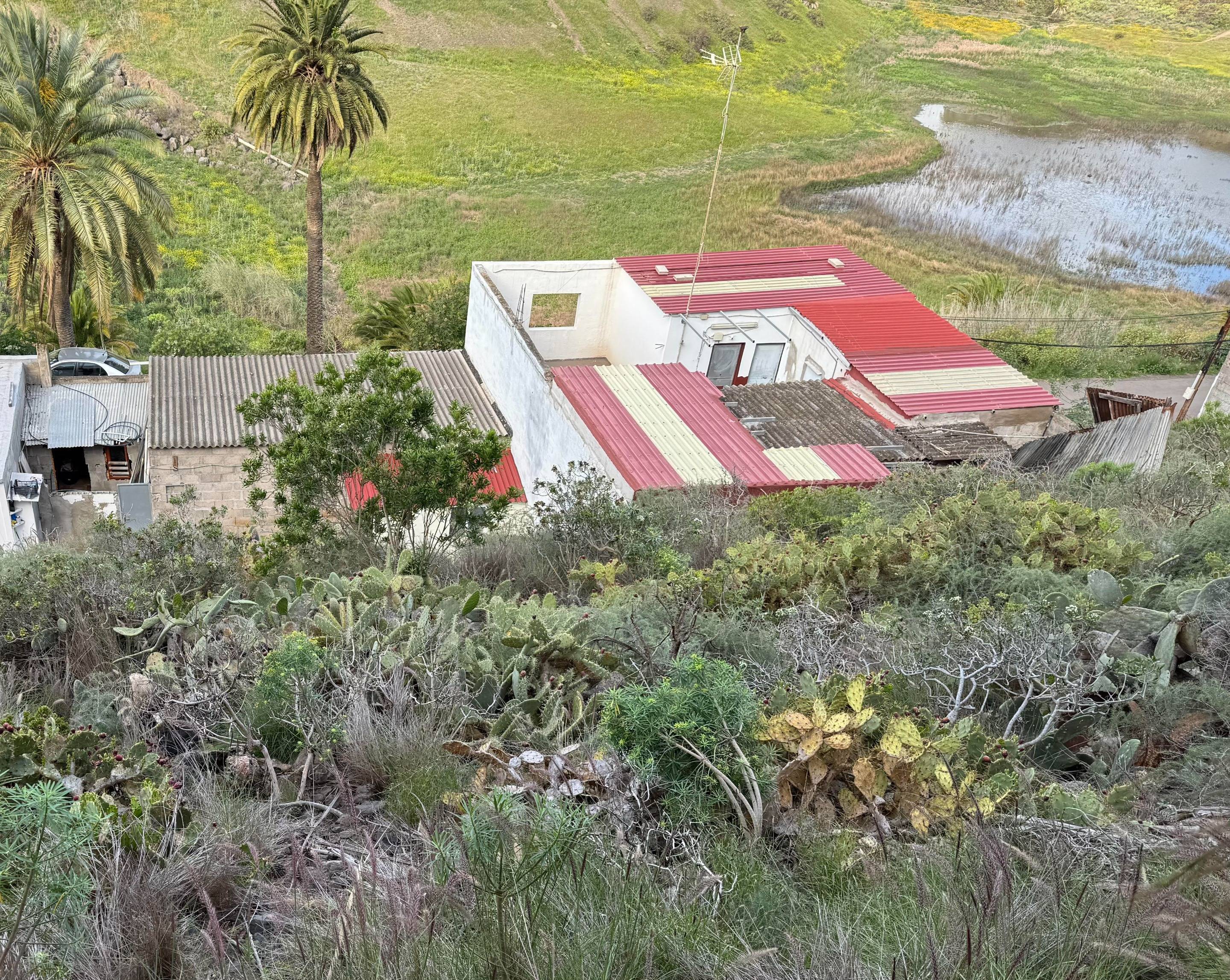 Fincas y solares-Venta-Arucas-1719821-Foto-3