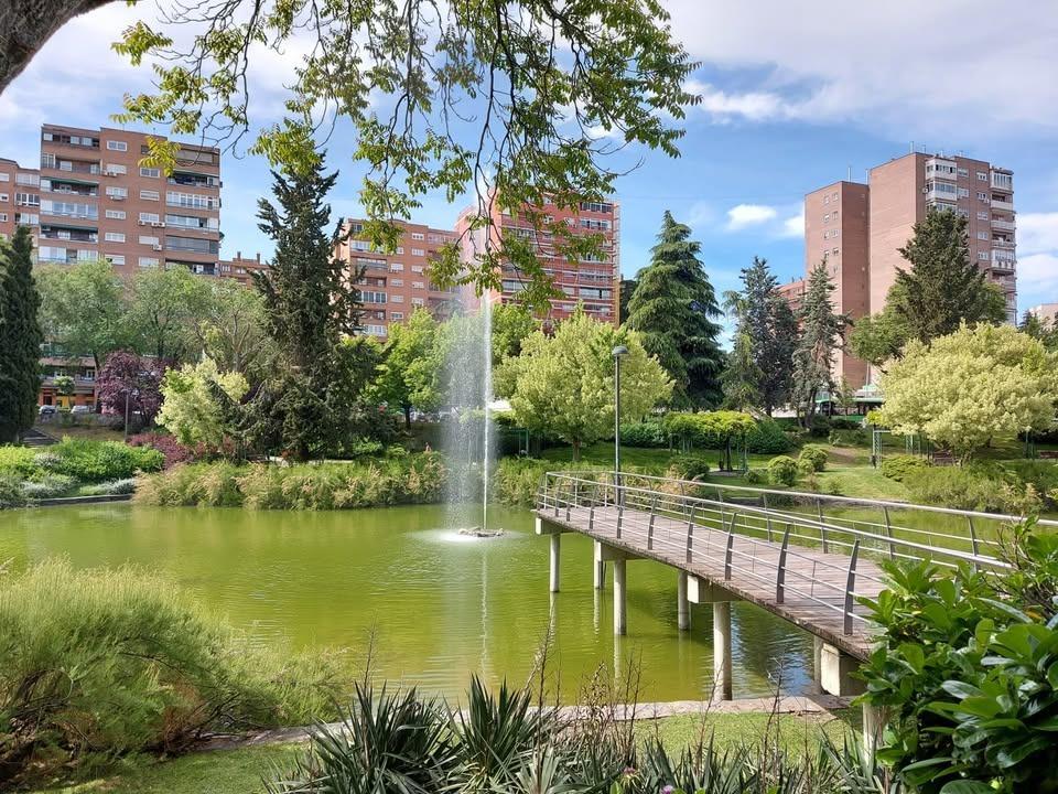 Negocios-Venta-Coslada-1887735-Foto-29