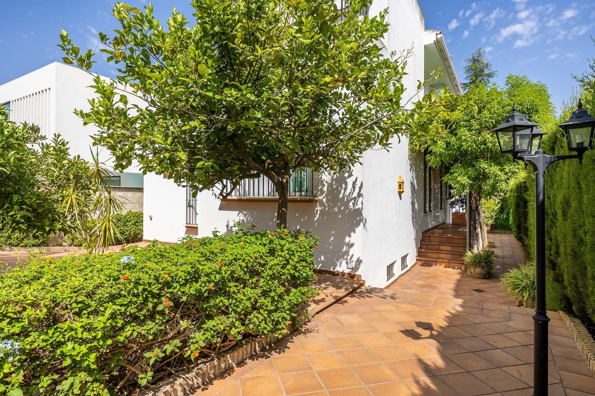 Casas o chalets-Venta-Bormujos-1768112-Foto-36