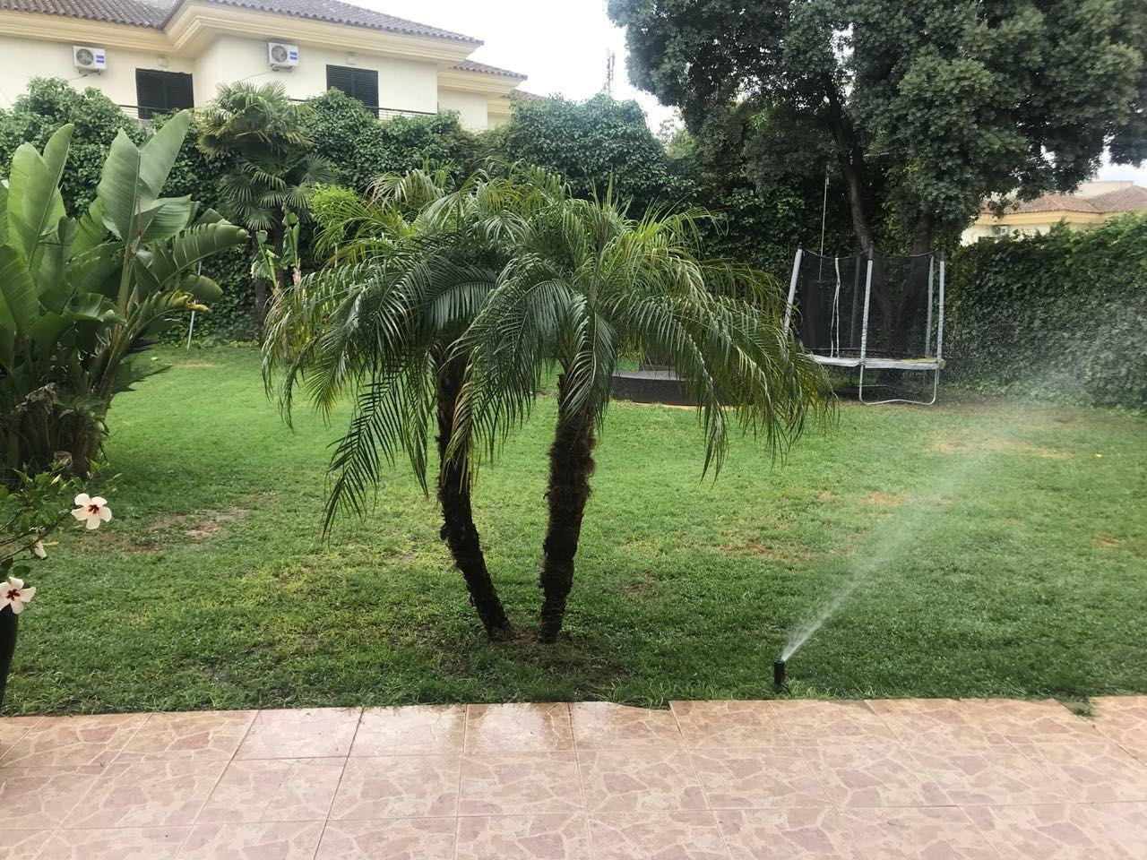 Casas o chalets-Venta-Mairena del Aljarafe-1842771-Foto-9