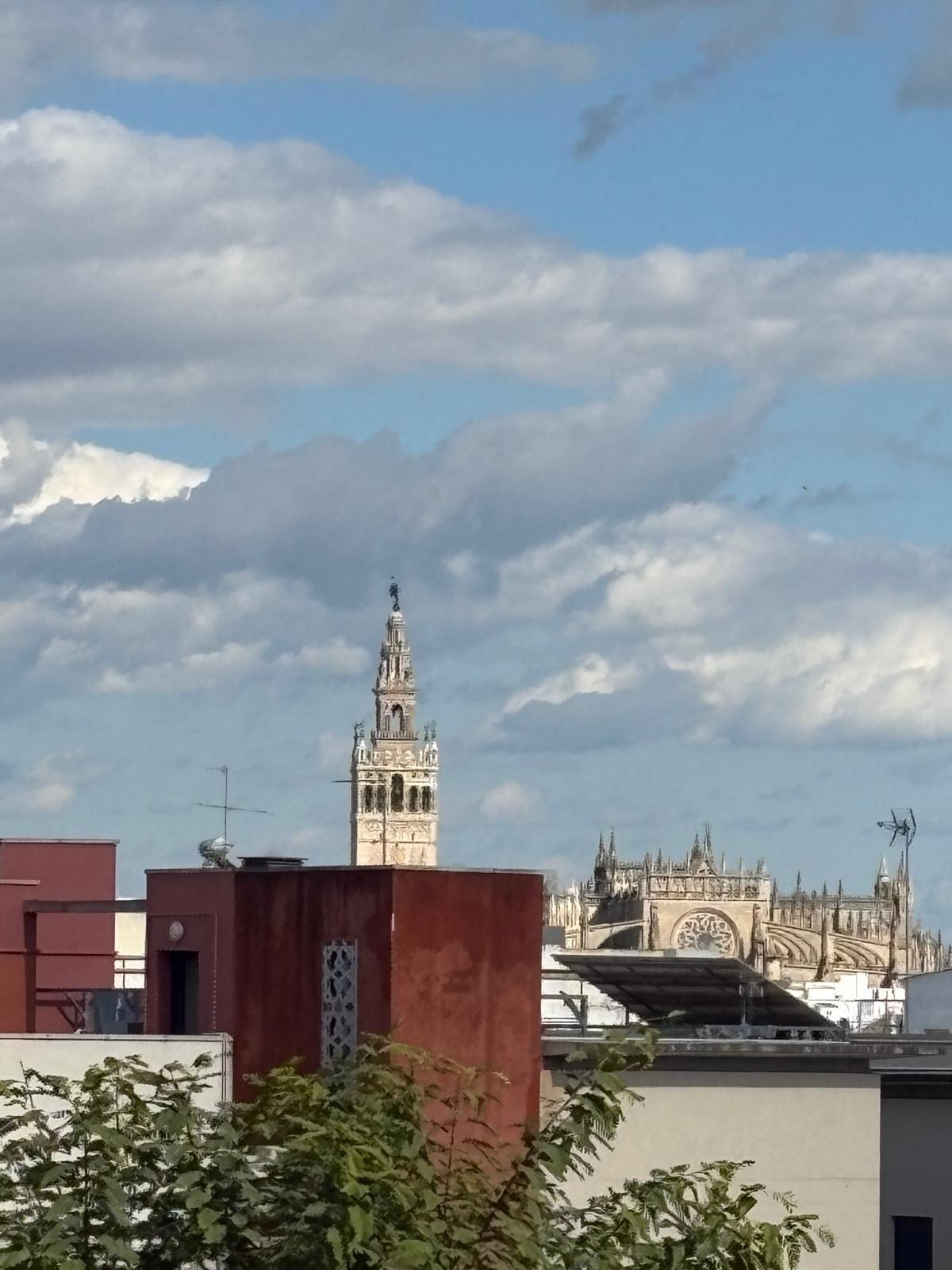 Pisos-Venta-Burguillos-1682347-Foto-32