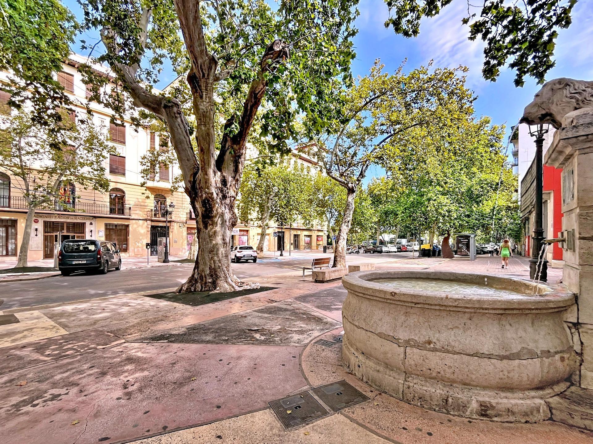 Pisos-Venta-Xàtiva-1904840-Foto-48