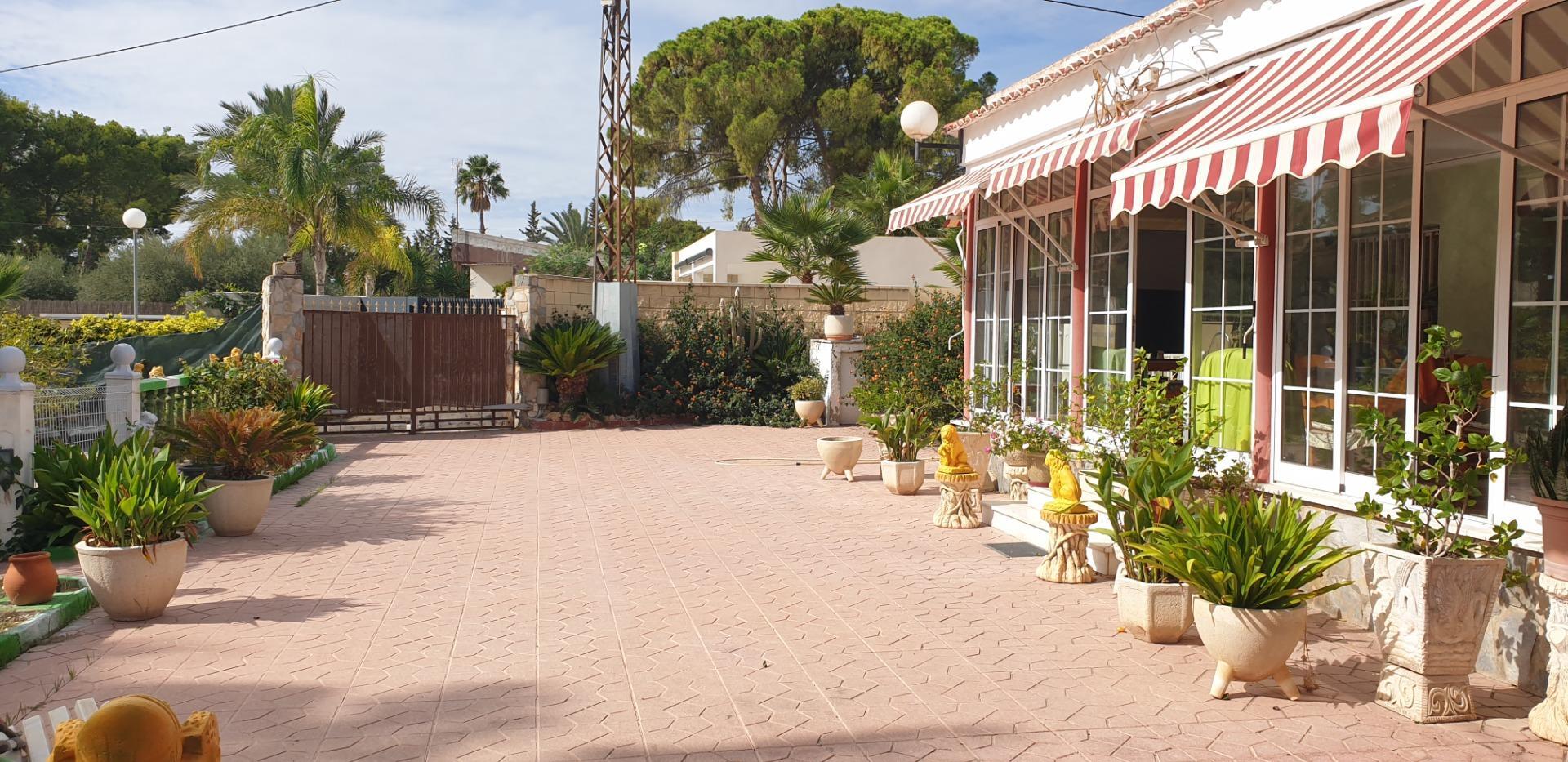 Casas o chalets-Venta-Elche-1507522
