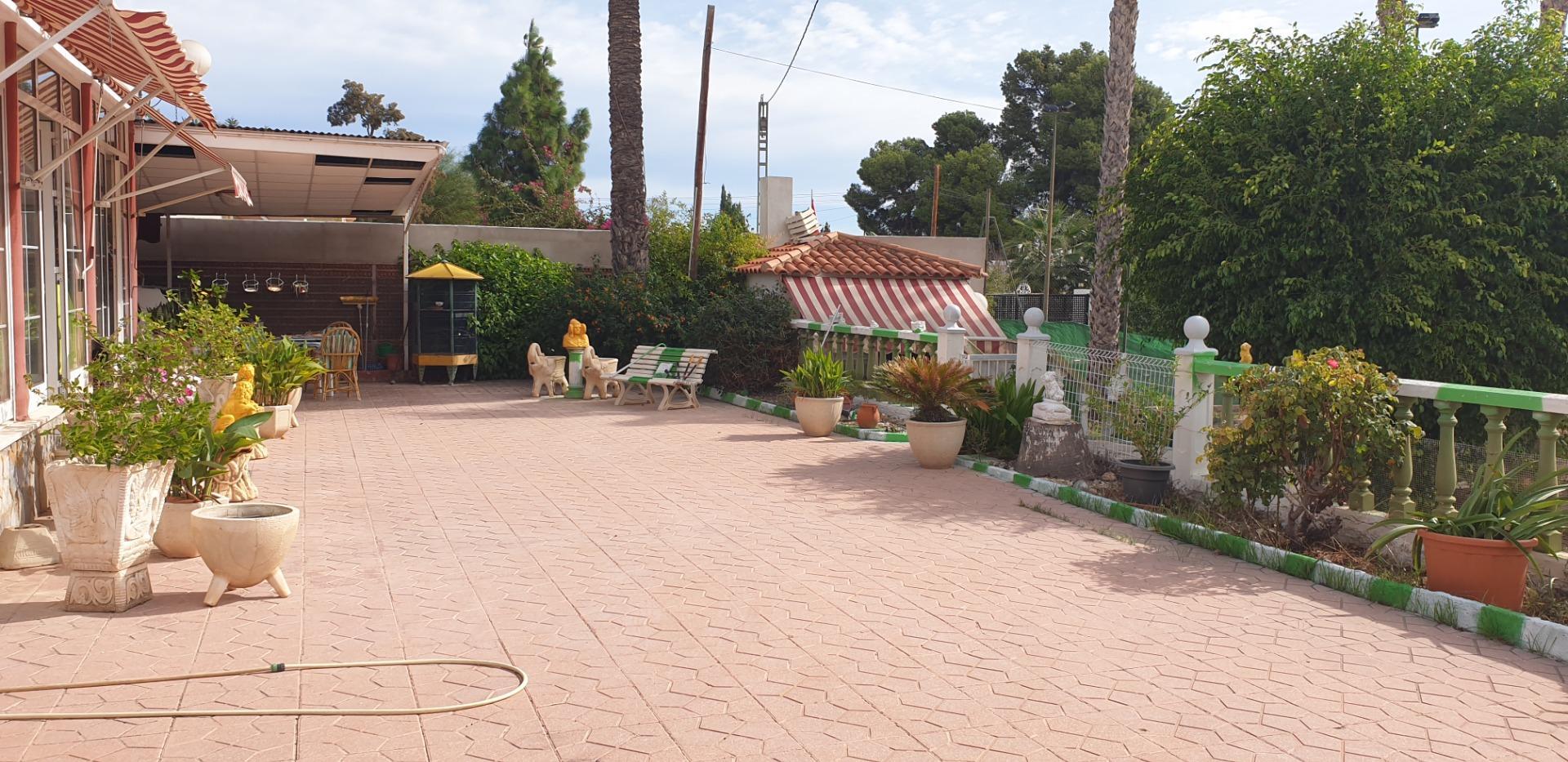 Casas o chalets-Venta-Elche-1507522-Foto-4