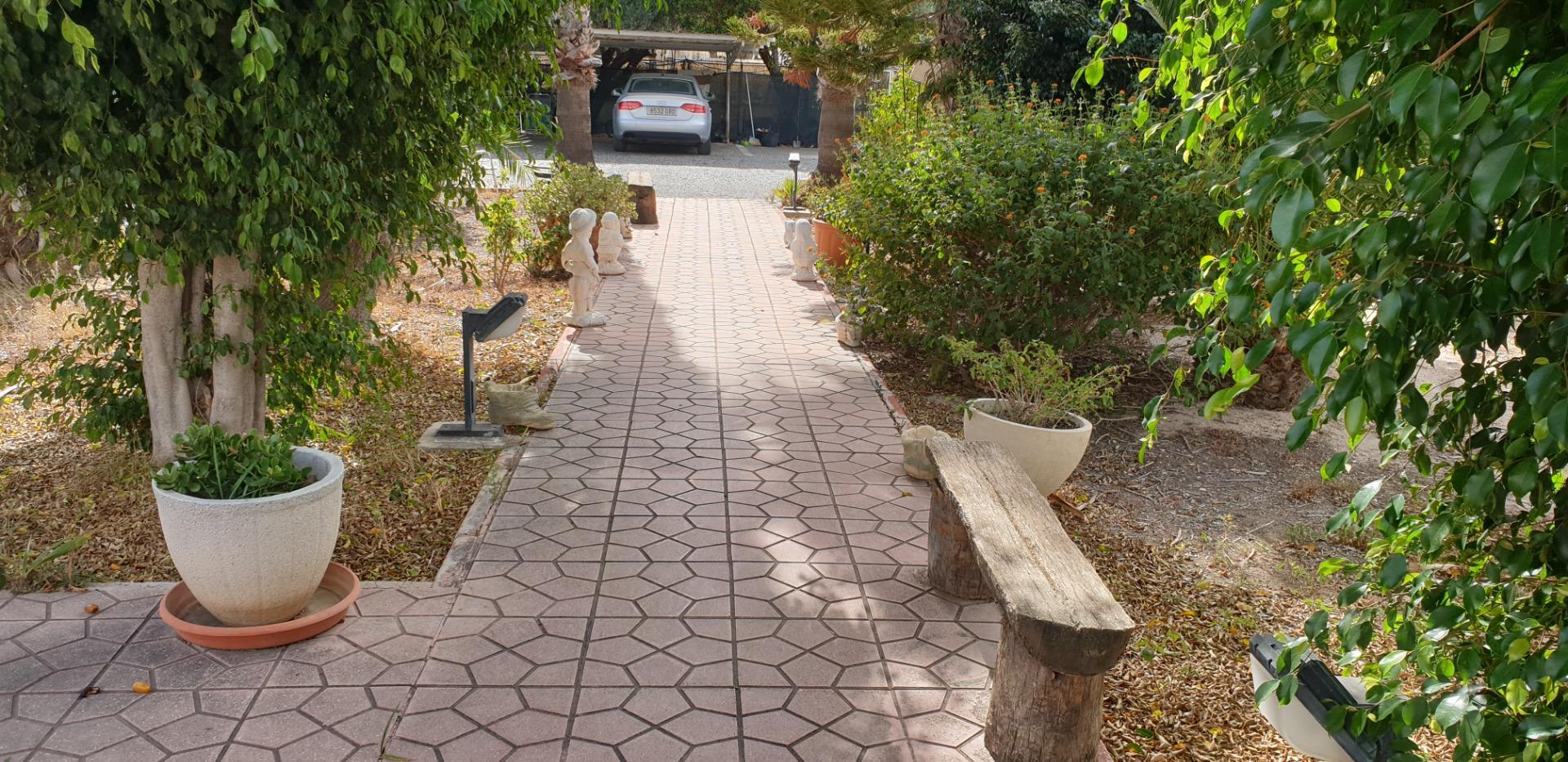 Casas o chalets-Venta-Elche-1507522-Foto-9