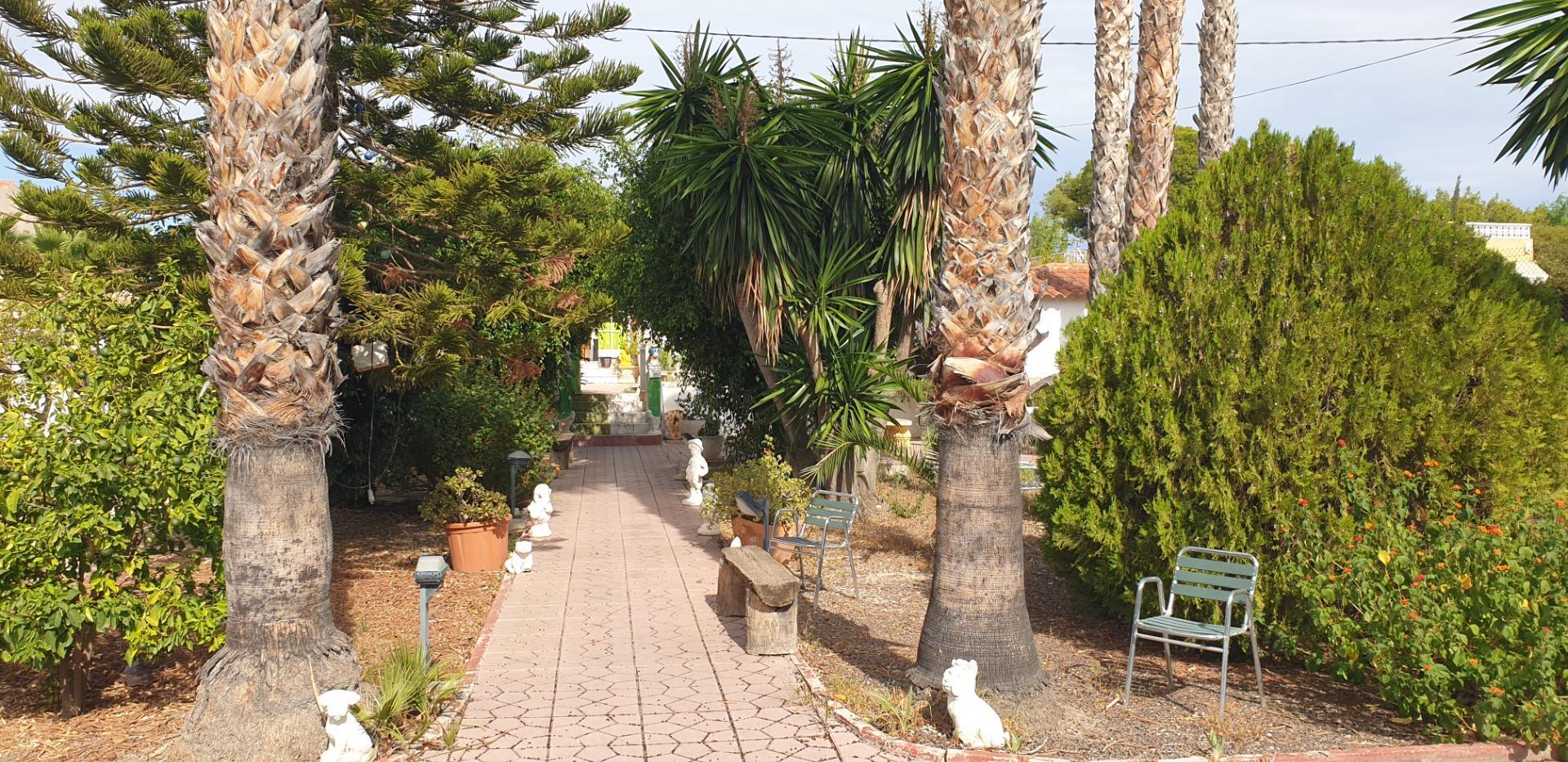 Casas o chalets-Venta-Elche-1507522-Foto-8