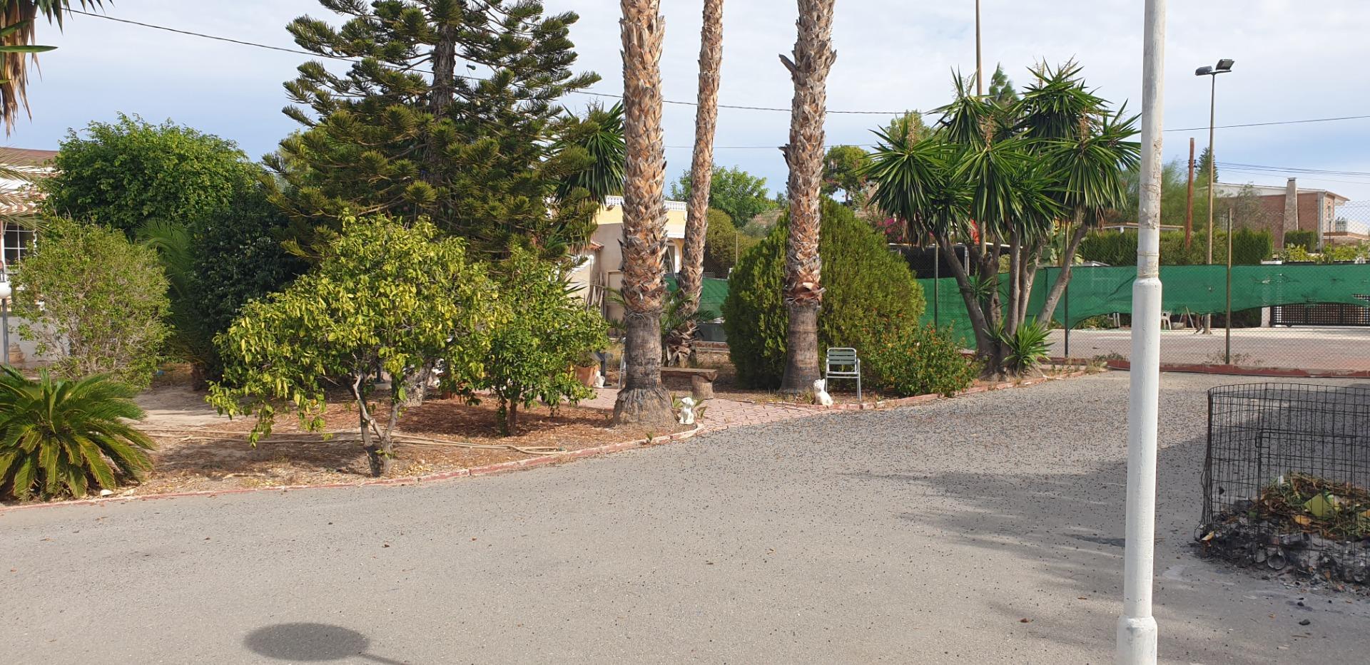 Casas o chalets-Venta-Elche-1507522-Foto-7