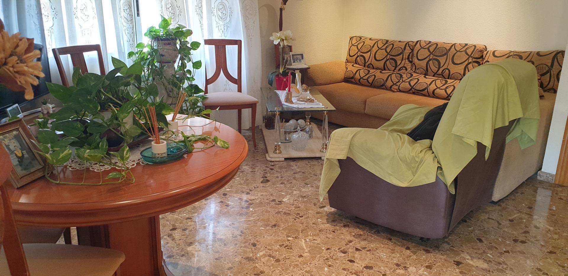 Casas o chalets-Venta-Elche-1507522-Foto-17