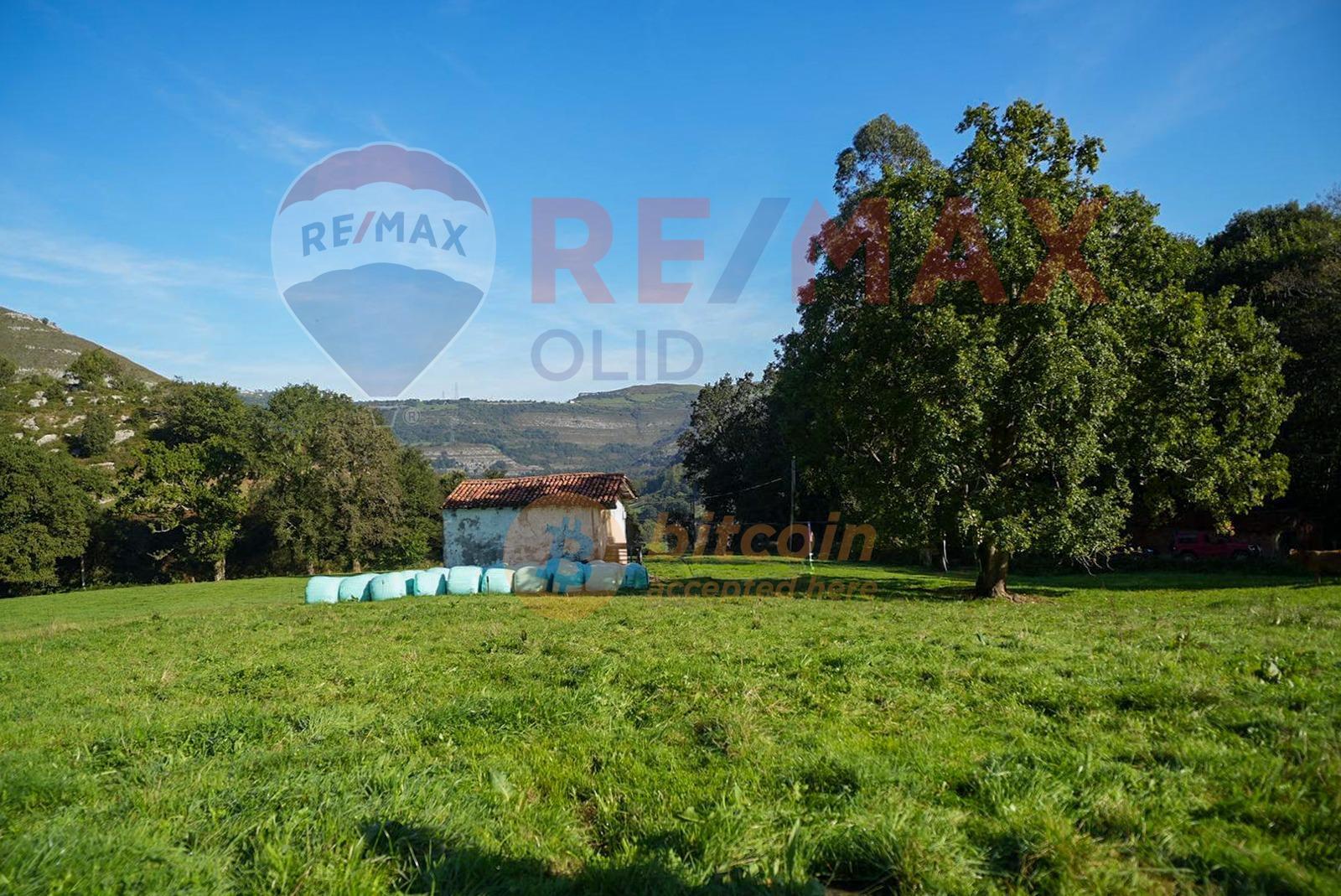 Fincas y solares-Venta-Ruesga-1904856-Foto-8