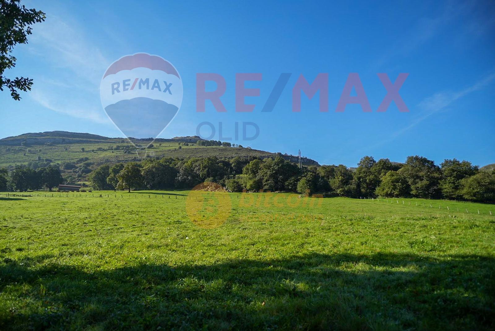 Fincas y solares-Venta-Ruesga-1904856-Foto-6