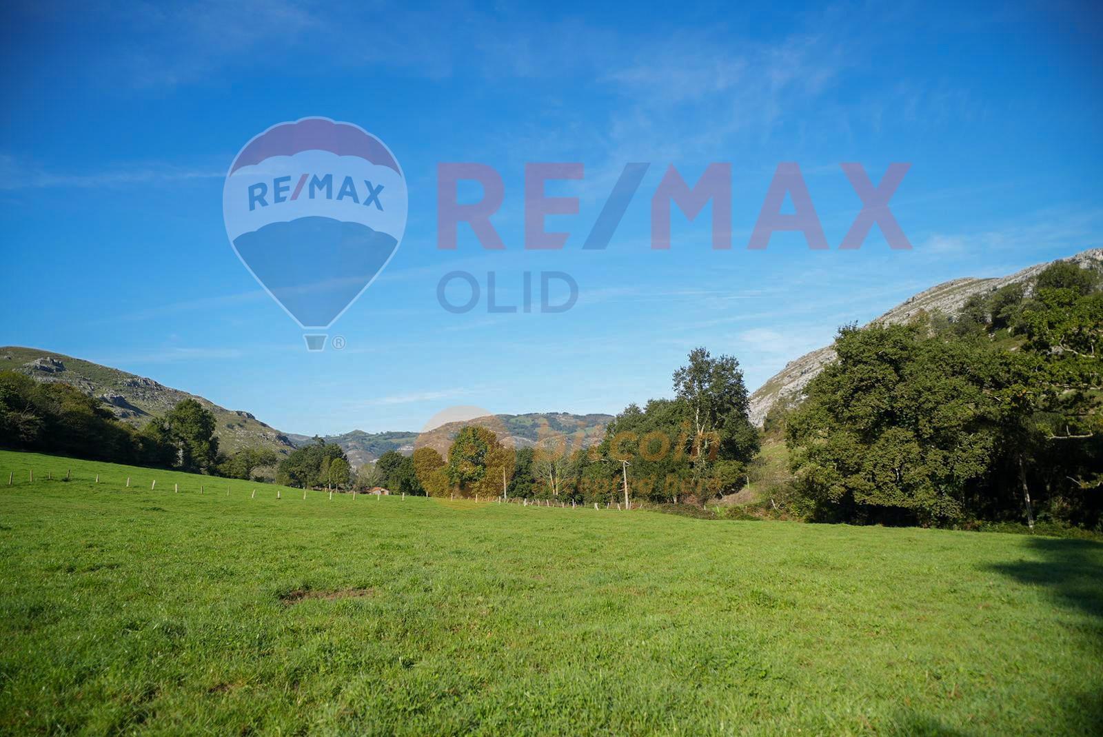 Fincas y solares-Venta-Ruesga-1904856-Foto-5