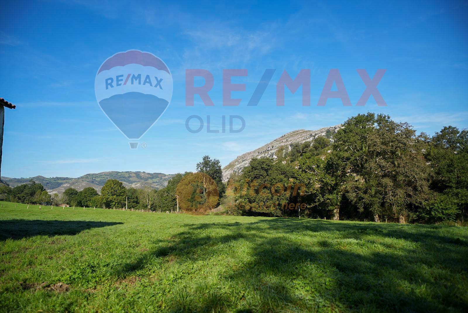 Fincas y solares-Venta-Ruesga-1904856-Foto-3
