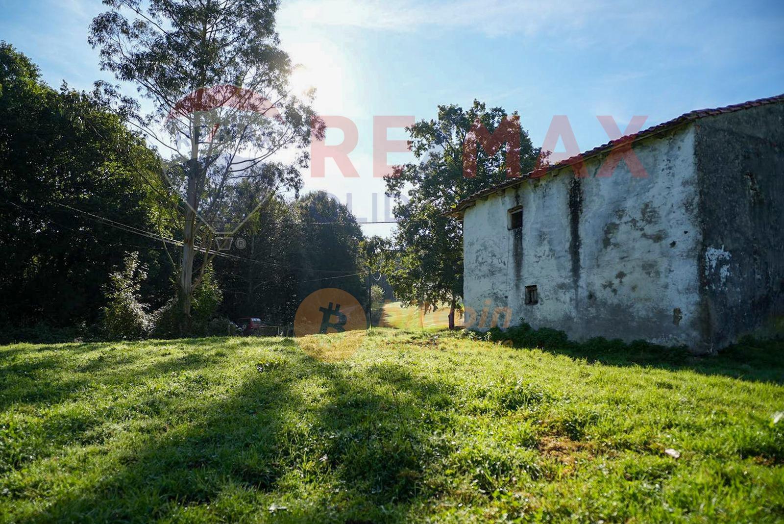 Fincas y solares-Venta-Ruesga-1904856-Foto-10