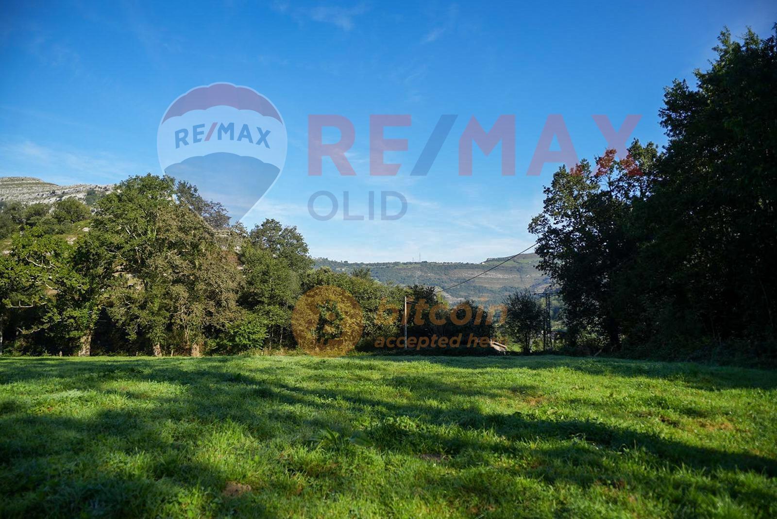 Fincas y solares-Venta-Ruesga-1904856-Foto-4