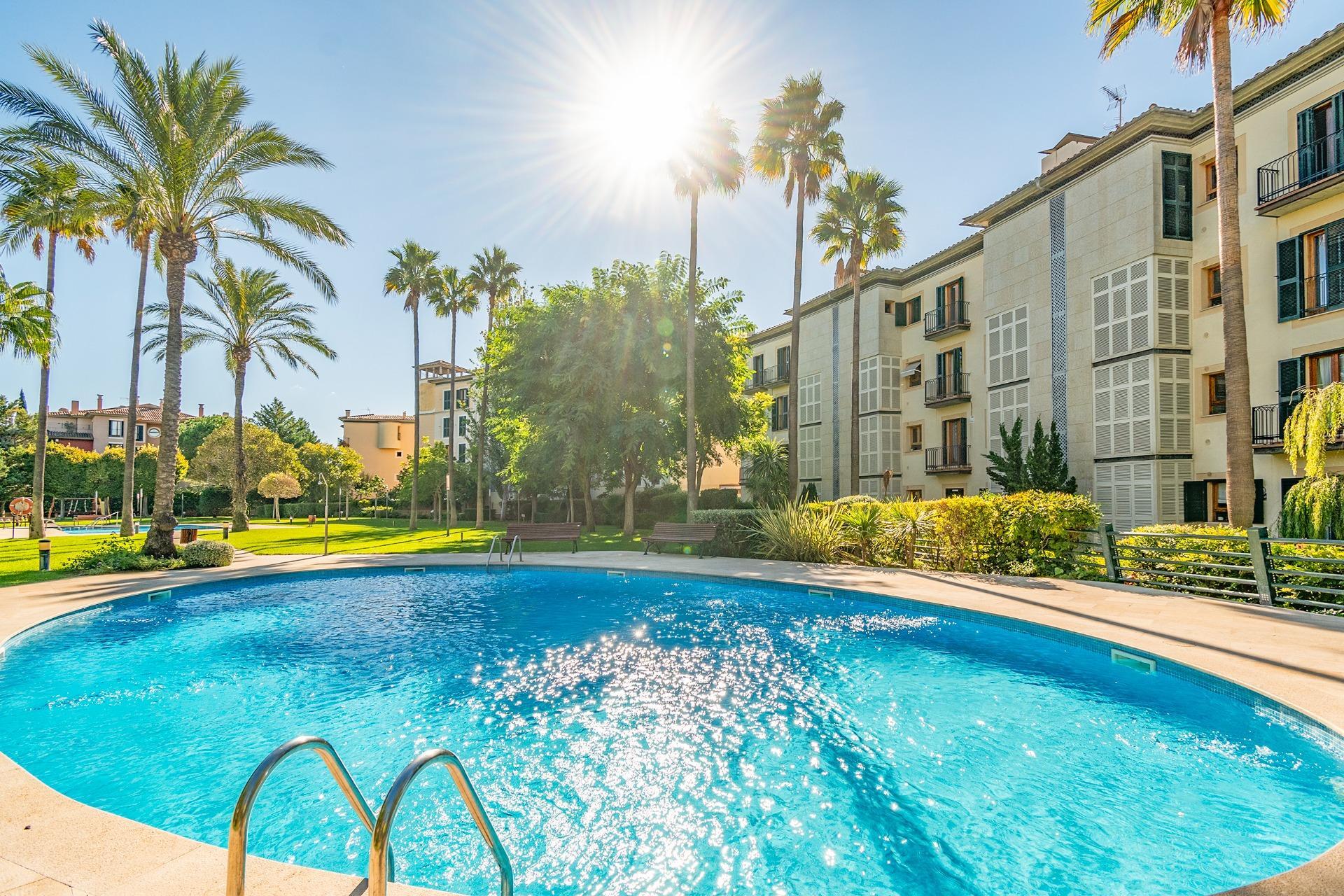 Pisos-Venta-Palma de Mallorca-1905053-Foto-3
