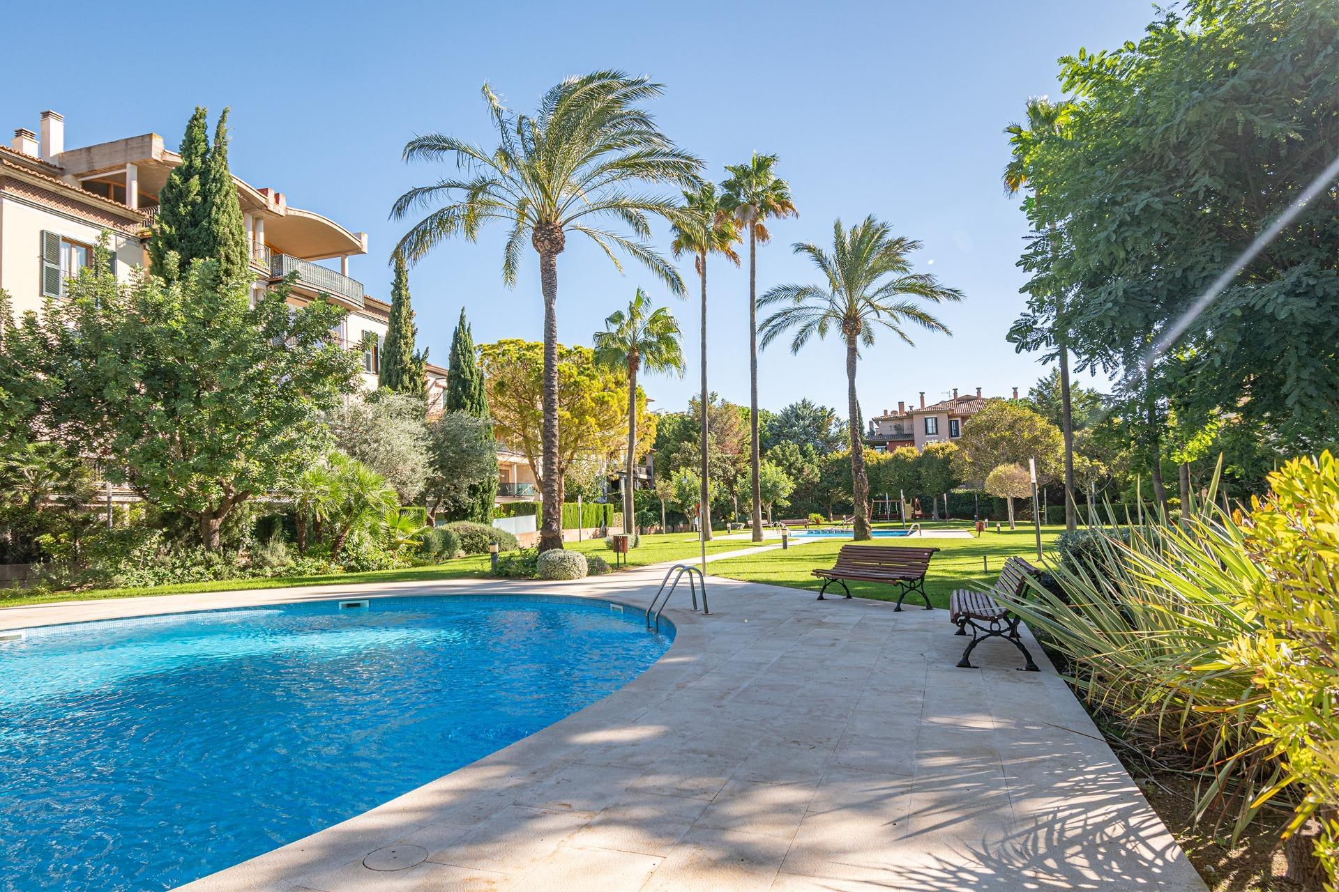 Pisos-Venta-Palma de Mallorca-1905053-Foto-5