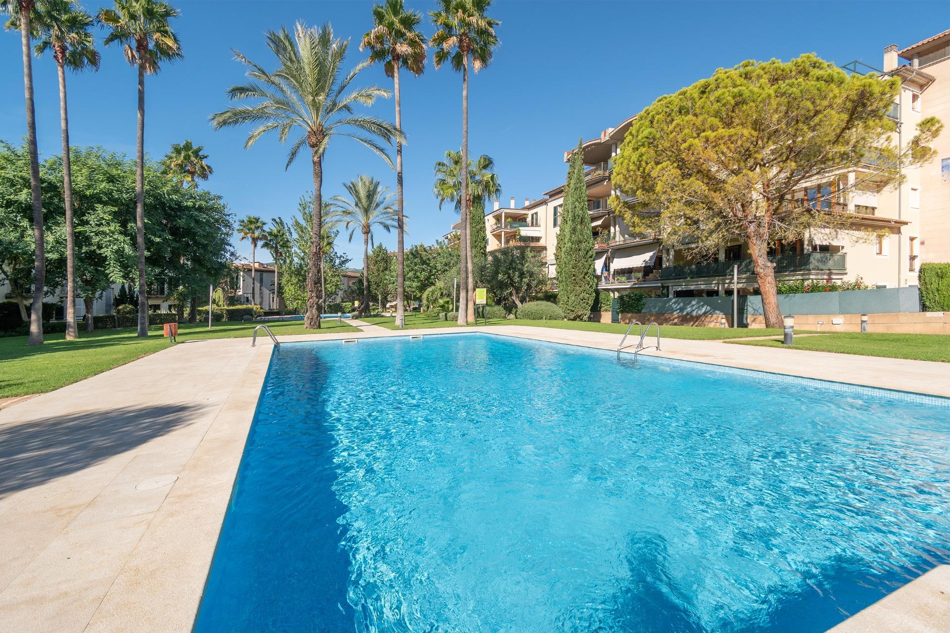 Pisos-Venta-Palma de Mallorca-1905053-Foto-19
