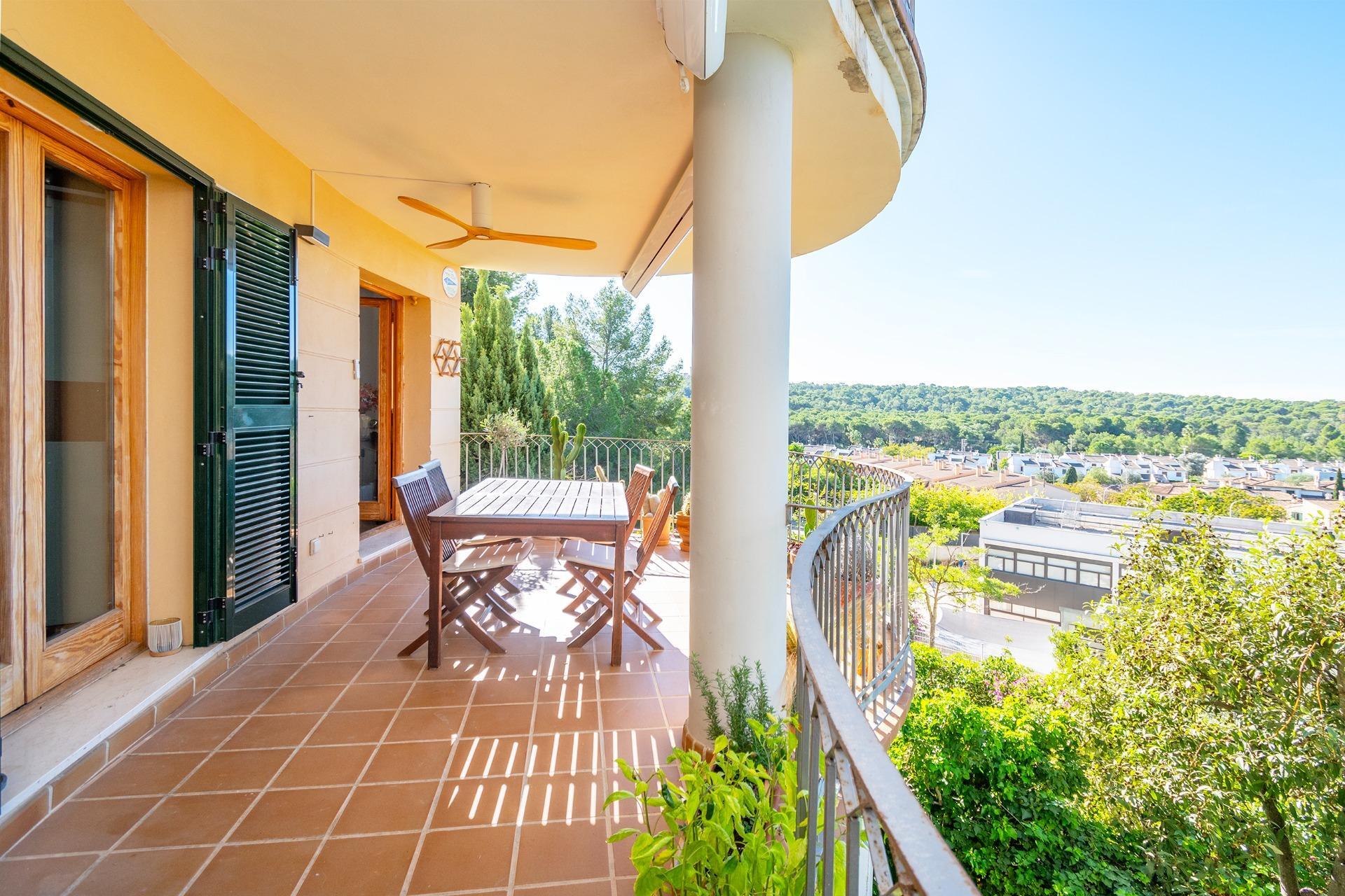 Pisos-Venta-Palma de Mallorca-1905053-Foto-21
