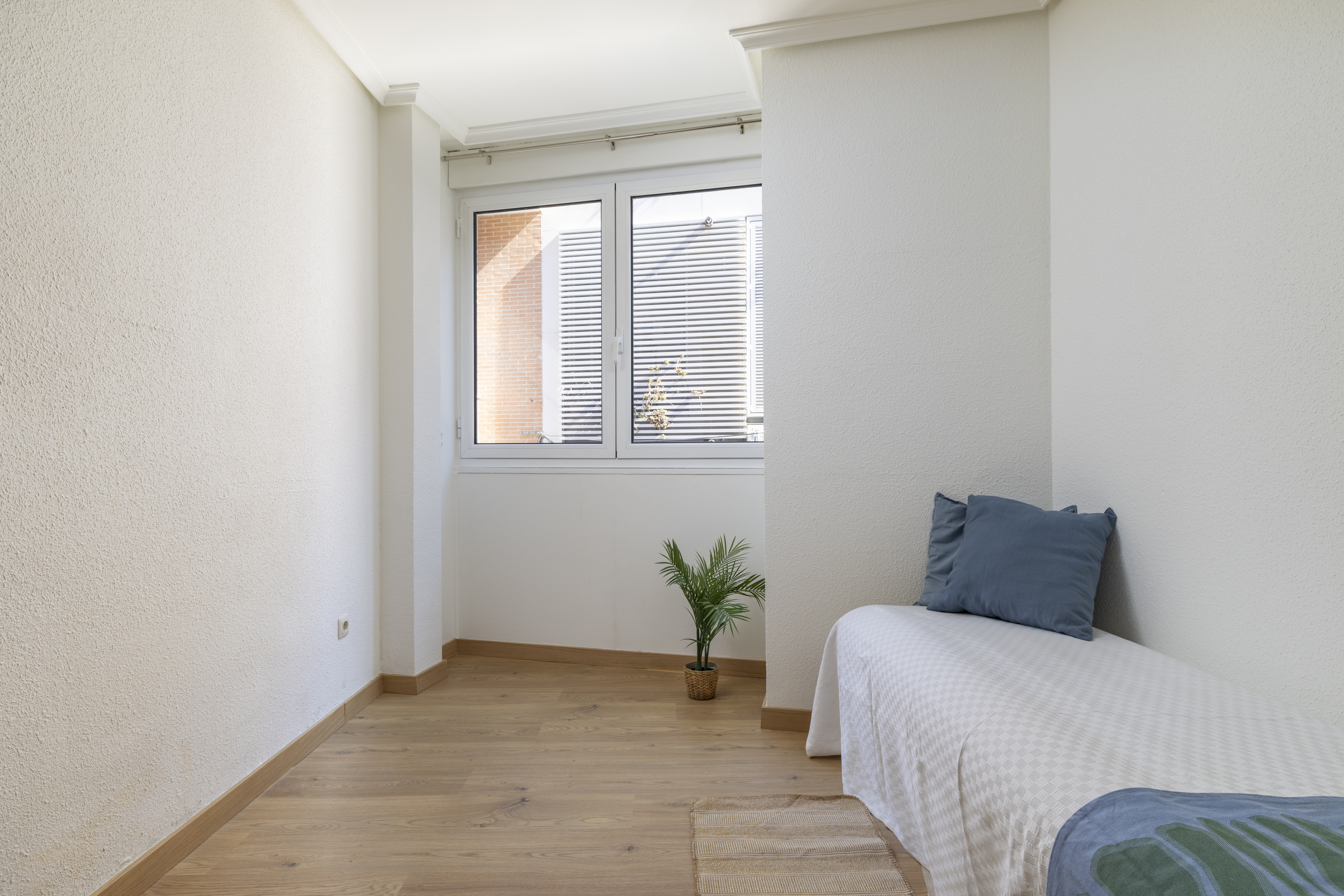 Pisos-Alquiler-Madrid-1904862-Foto-12