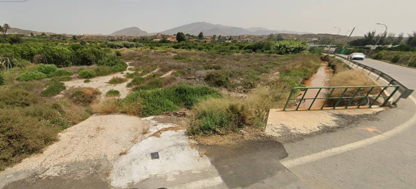 Fincas y solares-Venta-GÃ¡dor-1520821-Foto-5