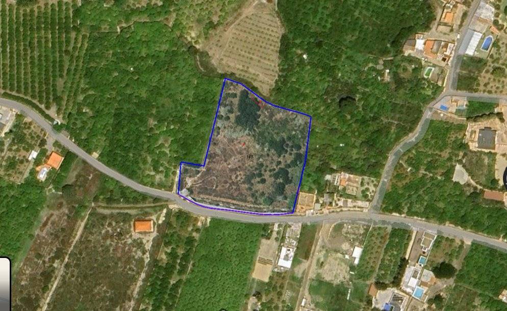 Fincas y solares-Venta-GÃ¡dor-1520821-Foto-9