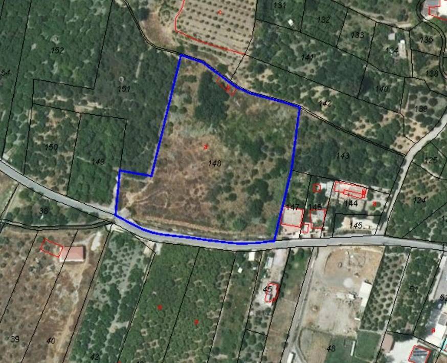 Fincas y solares-Venta-GÃ¡dor-1520821-Foto-11